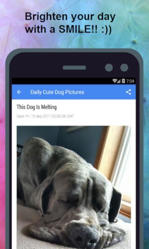 Daily Cute & Funny Dog Pictures