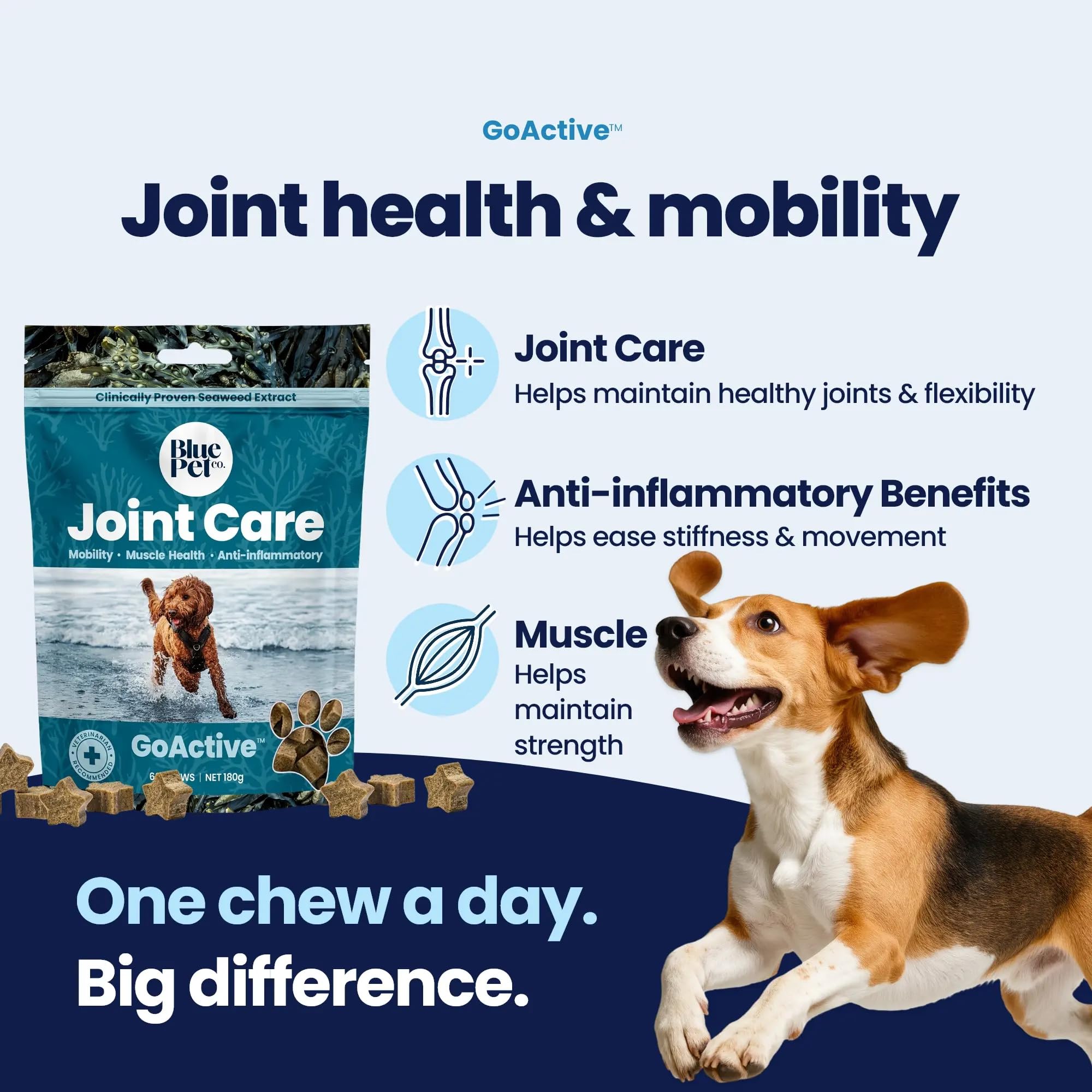 View 5