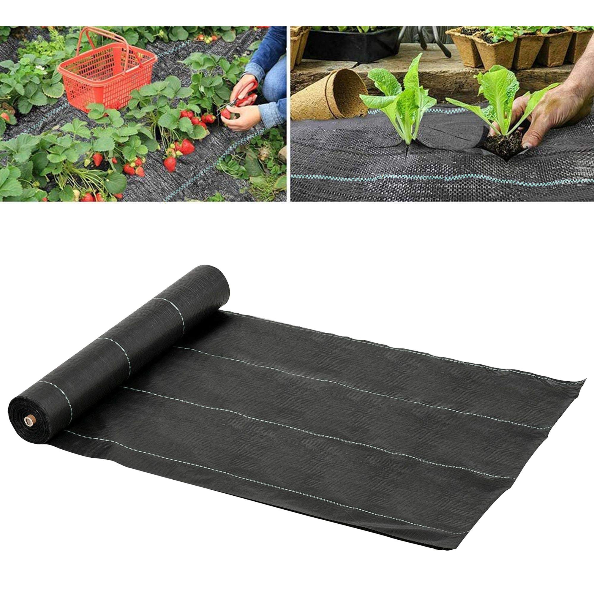 Outsunny Telo Pacciamatura 50x2m 100g/m² Telo Anti Erbacce Telo Nero per Orto, Serra, Giardino Drenante e Traspirante con Quadrettatura