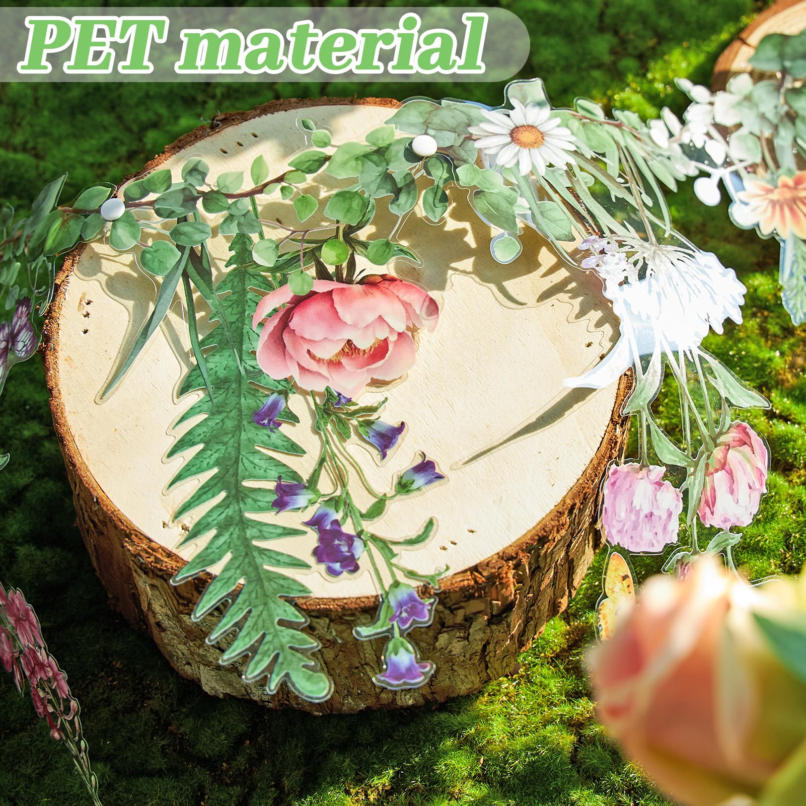 View 4