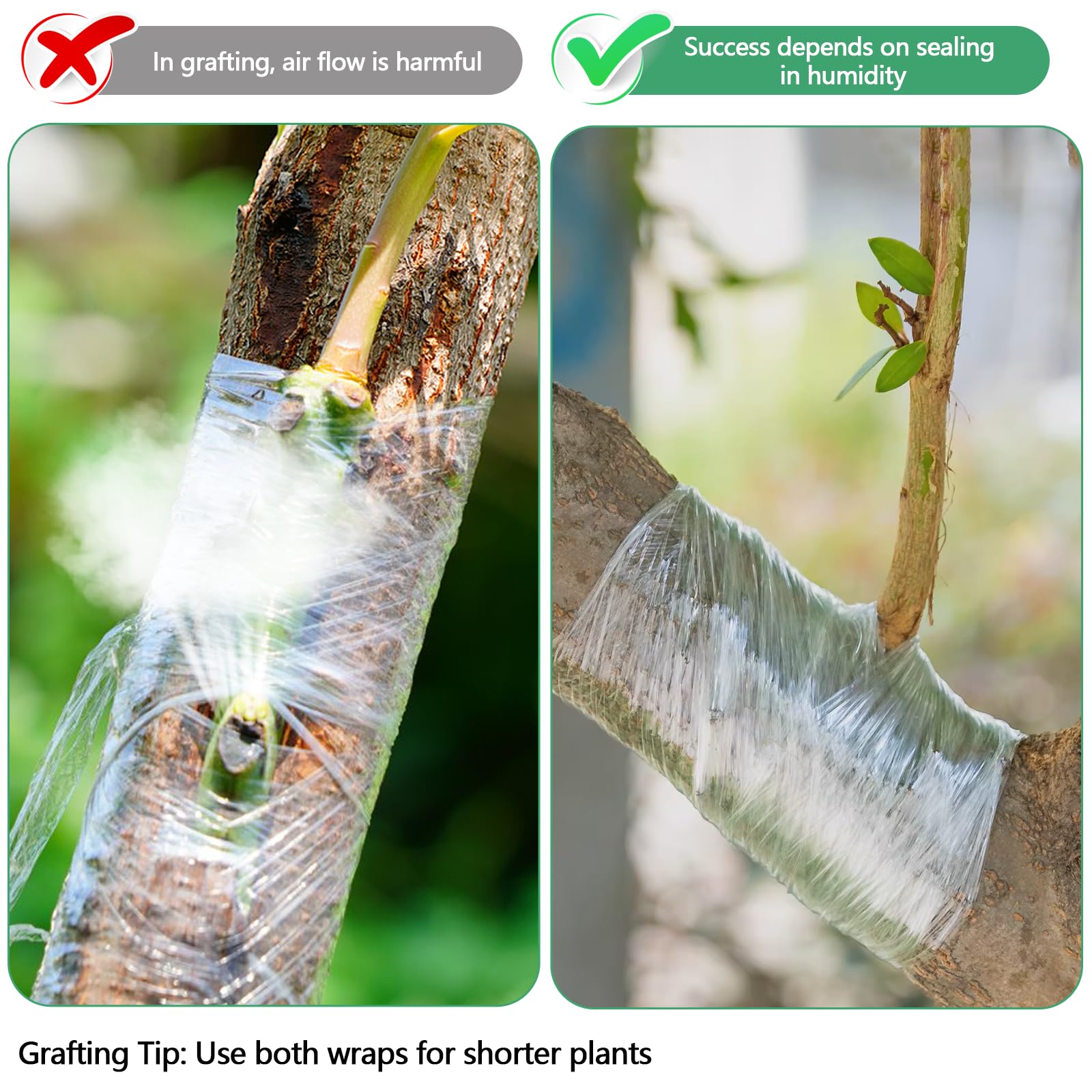 Cinta de Injerto 5Pcs Cinta para Injertar Cinta de Injerto Estirable y Transparente con 10Pcs Ataduras para Injertos de Árboles Frutales y Reparación de Ramas en Viveros y Jardines