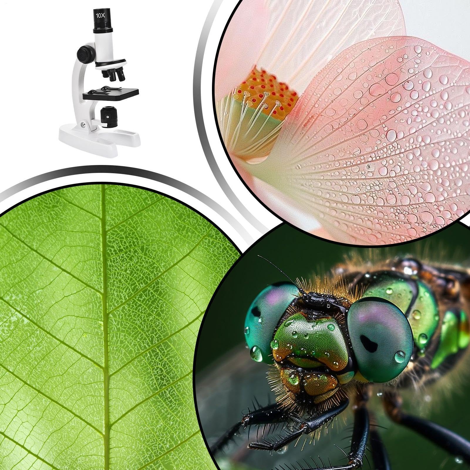 Microscopio per Bambini,Set Di Apprendimento Scientifico,Kit Scientifico Microscopio per Bambini - Per La Natura Attività All'Aria Aperta Casa Compleanni Progetti E Attività Didattiche