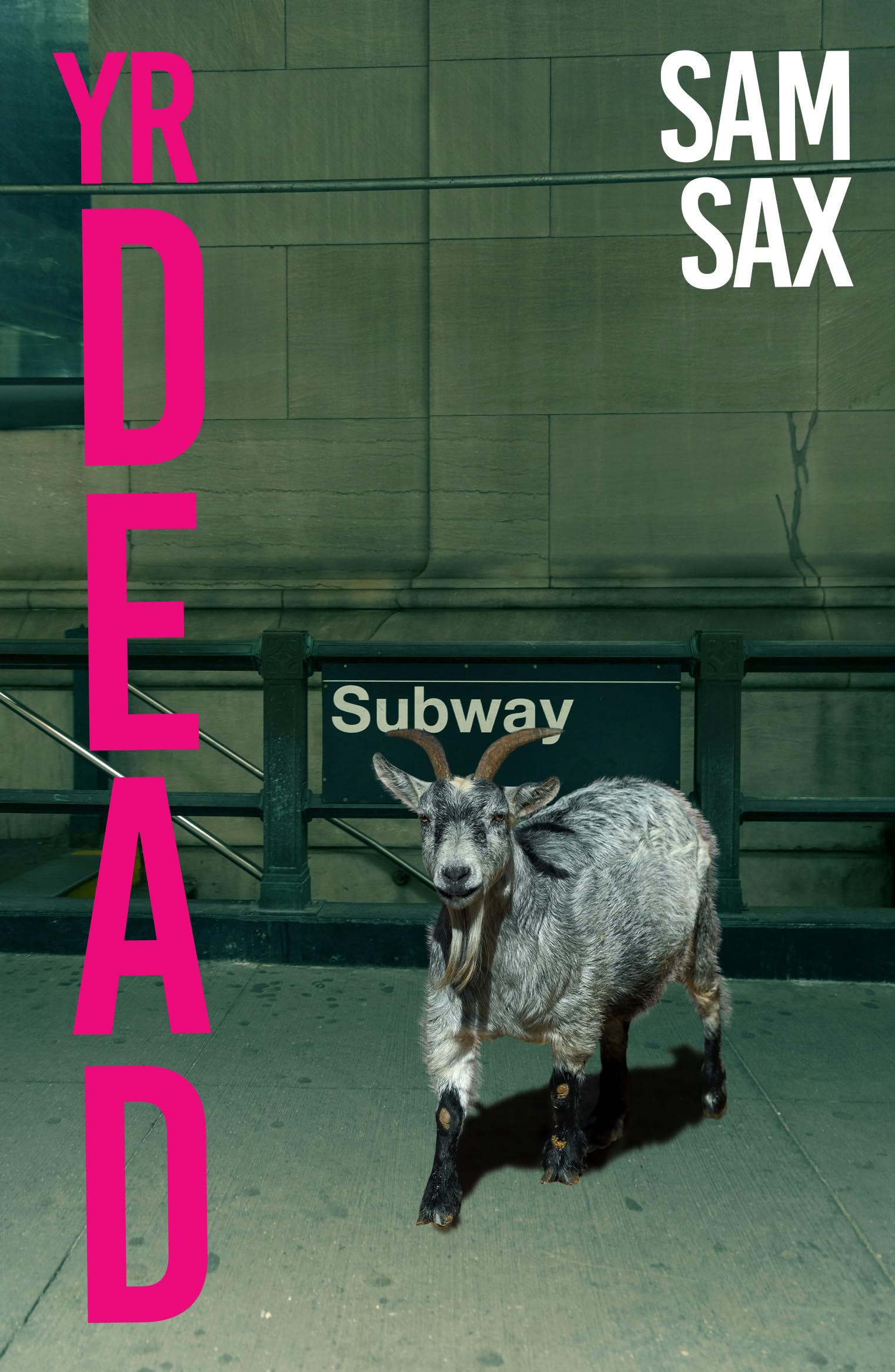 Yr Dead: Sam Sax