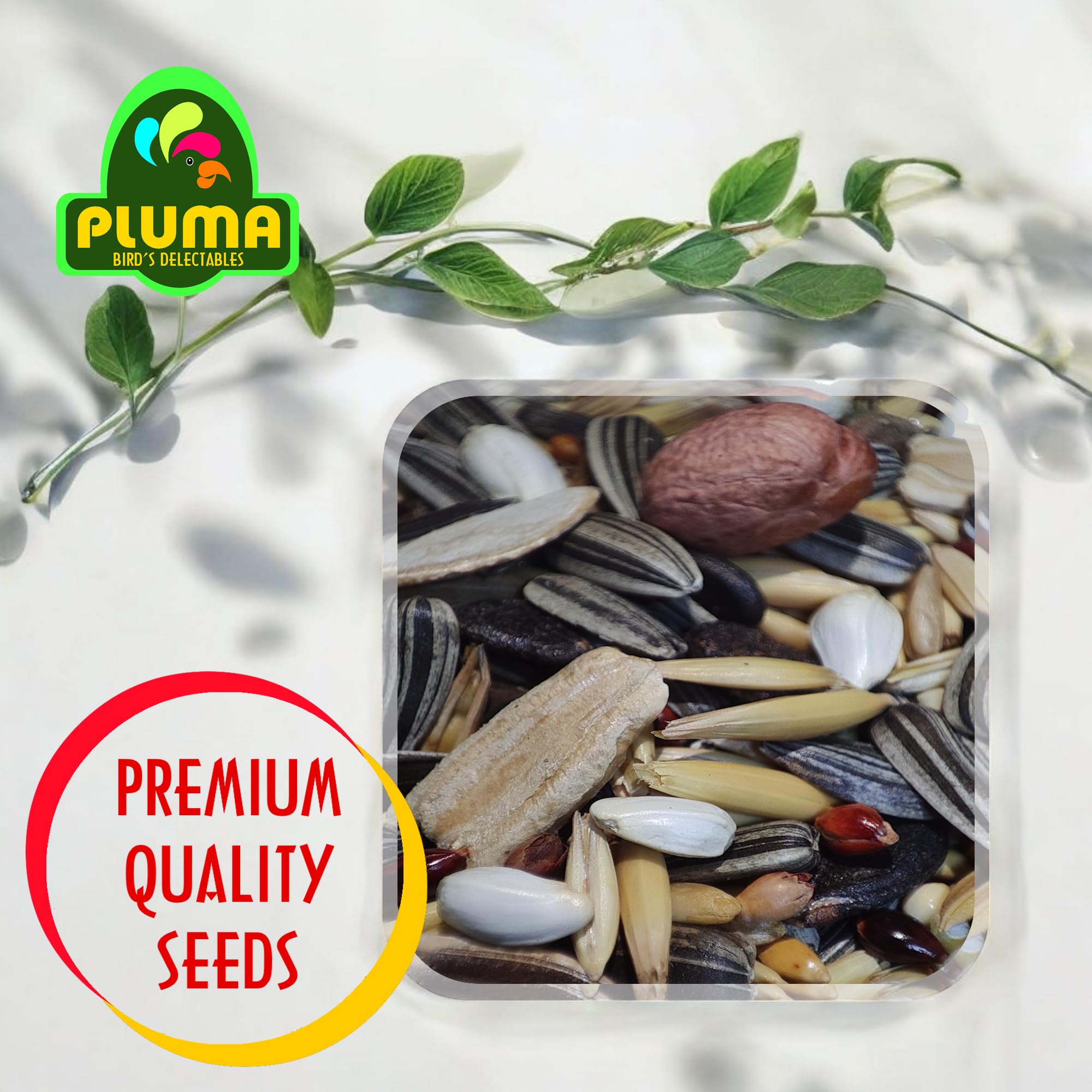 PLUMA BIRD'S DELECTABLES Food for Parrots, Parakeets, Macaw, Conure, African Grey, Lorikeet - 450g Pouch | Premium Seed and Millet Mix | Daily Feed for Adult & Self Feeding Birds 3