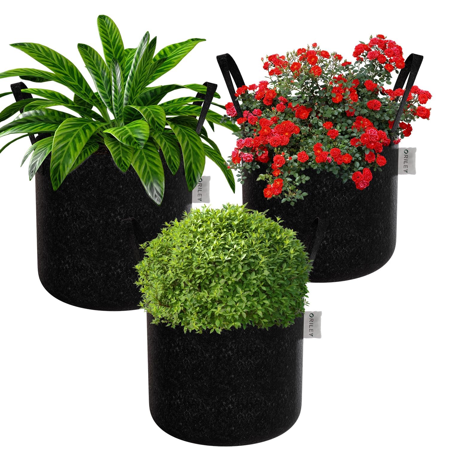 ORILEY Grow Bag Heavy Duty Geo Fabric Plant Pot with Sturdy Handles Lightweight Bags Ideal for Gardening Balcony Terrace (Black, Round, 300 GSM 15 x 15 inch Pack of 3) (B0BX34BMPD) Amazon Price History, Amazon Price Tracker