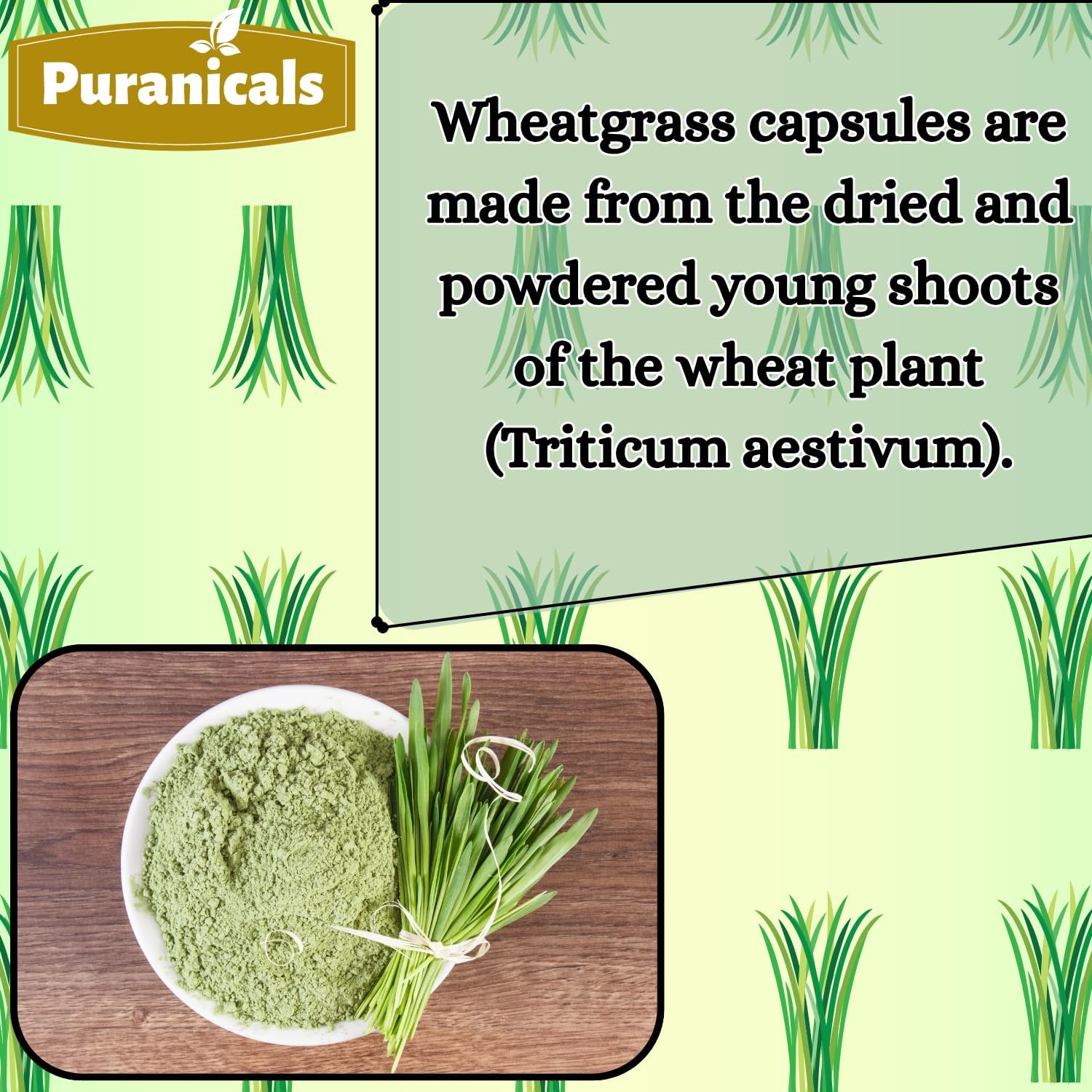 Neem 320 Capsules and Wheatgrass 320 Capsules Bundle | Two-Bottle Herbal Essentials | Pure, Simple Formulas| Convenient Capsule Format | Non-GMO Ingredients, No Artificial Colors | Capsules Com