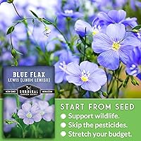 Vista 3 de Lewis Blue Flax Seeds for Planting - Plant & Grow Drought Tolerant Native Perennial Wildflowers Your Home Garden - Non-GMO Heirloom Variety