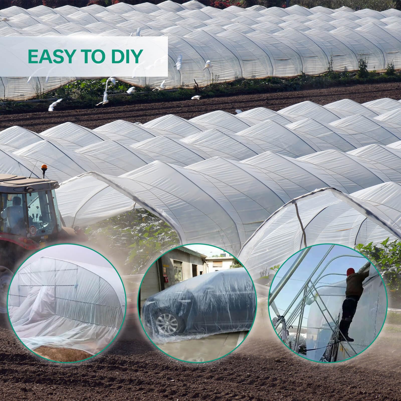 Cubierta de plástico para invernadero de 6 mil, lámina de plástico para invernadero de 6.5 x 13 pies de grosor, lámina de plástico antigoteo para jardinería, agricultura, plantas de