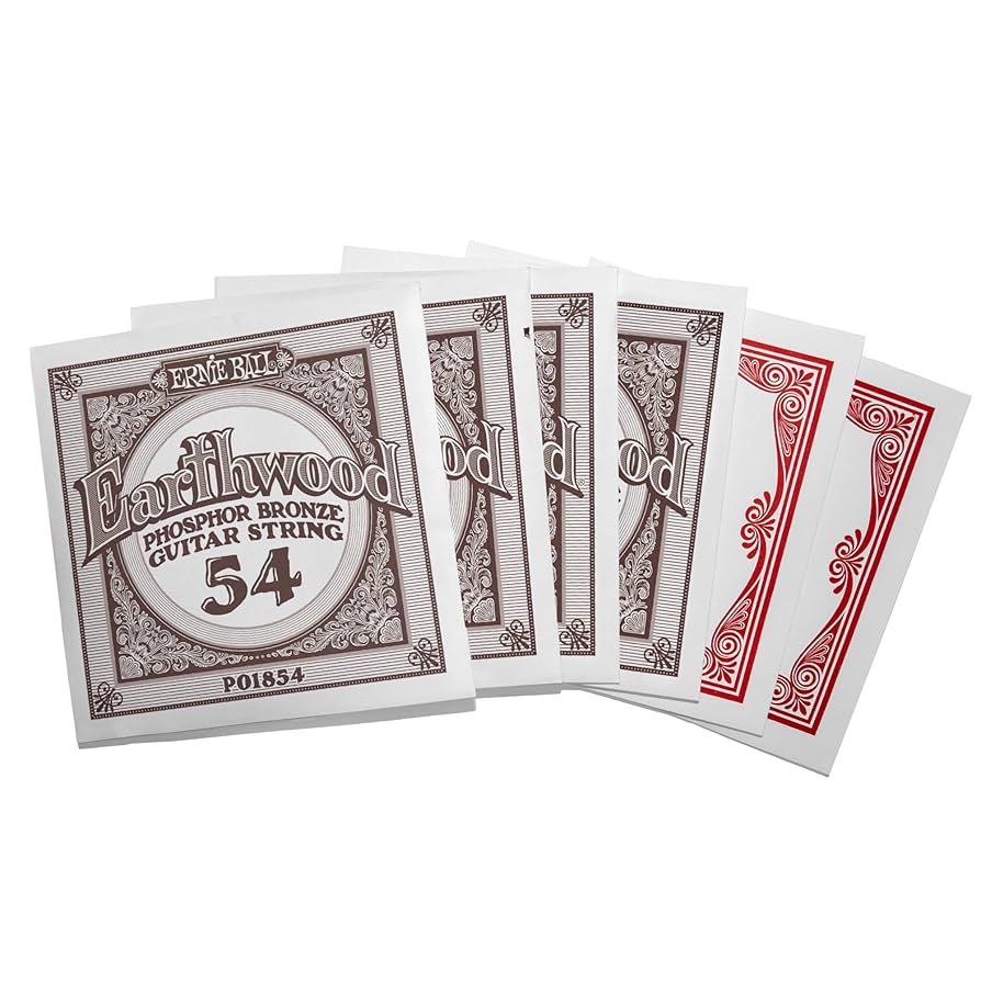 Amazon.com: Ernie Ball Earthwood Medium Light Phosphor