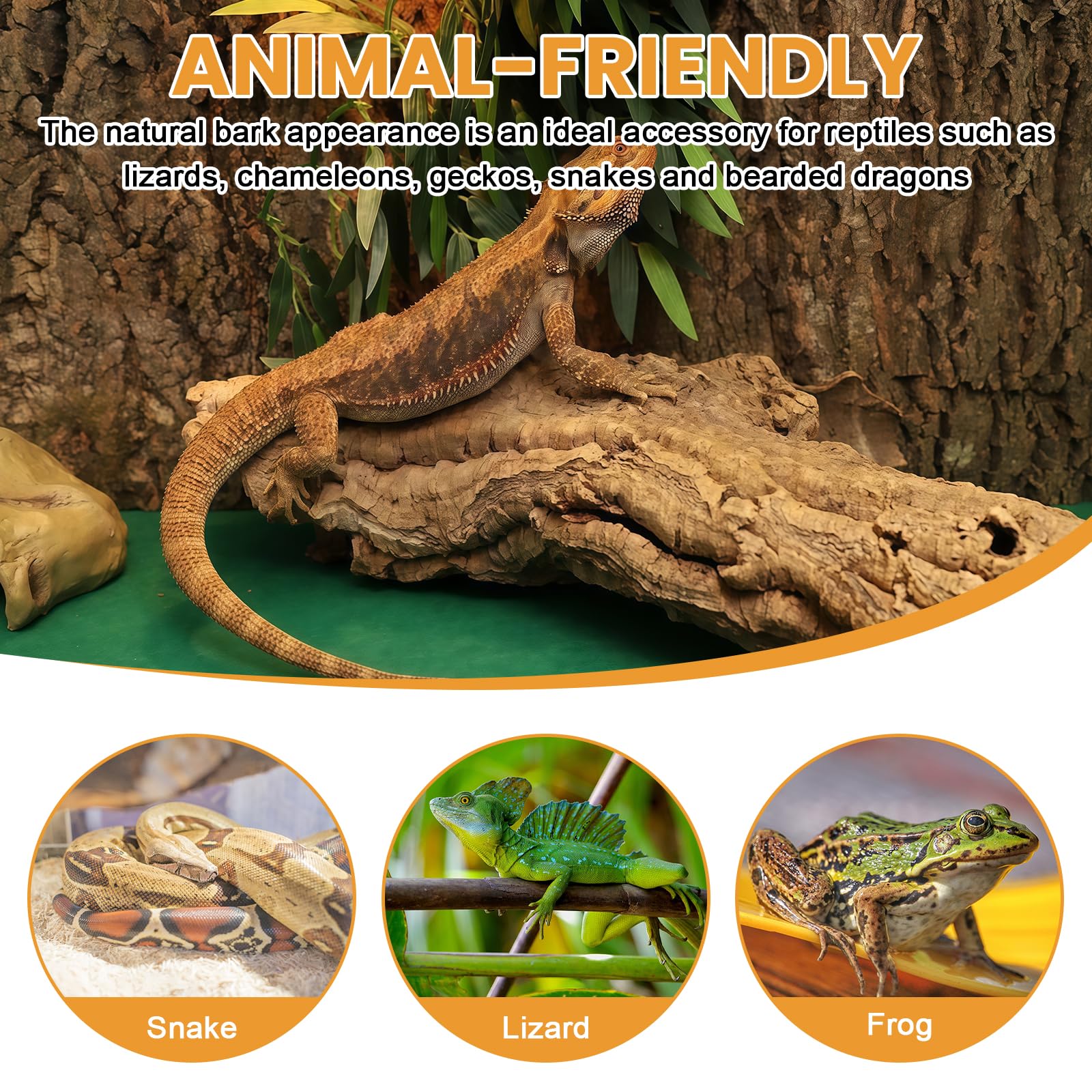 Sporgo Fondo de Corcho para Terrario: 3 Piezas de Aspecto Natural de Corteza de Árbol, Alfombra de Escalada para Reptiles, Fondo de Acuario de Corteza de Árbol, Decoración de Pared, para Tortuga