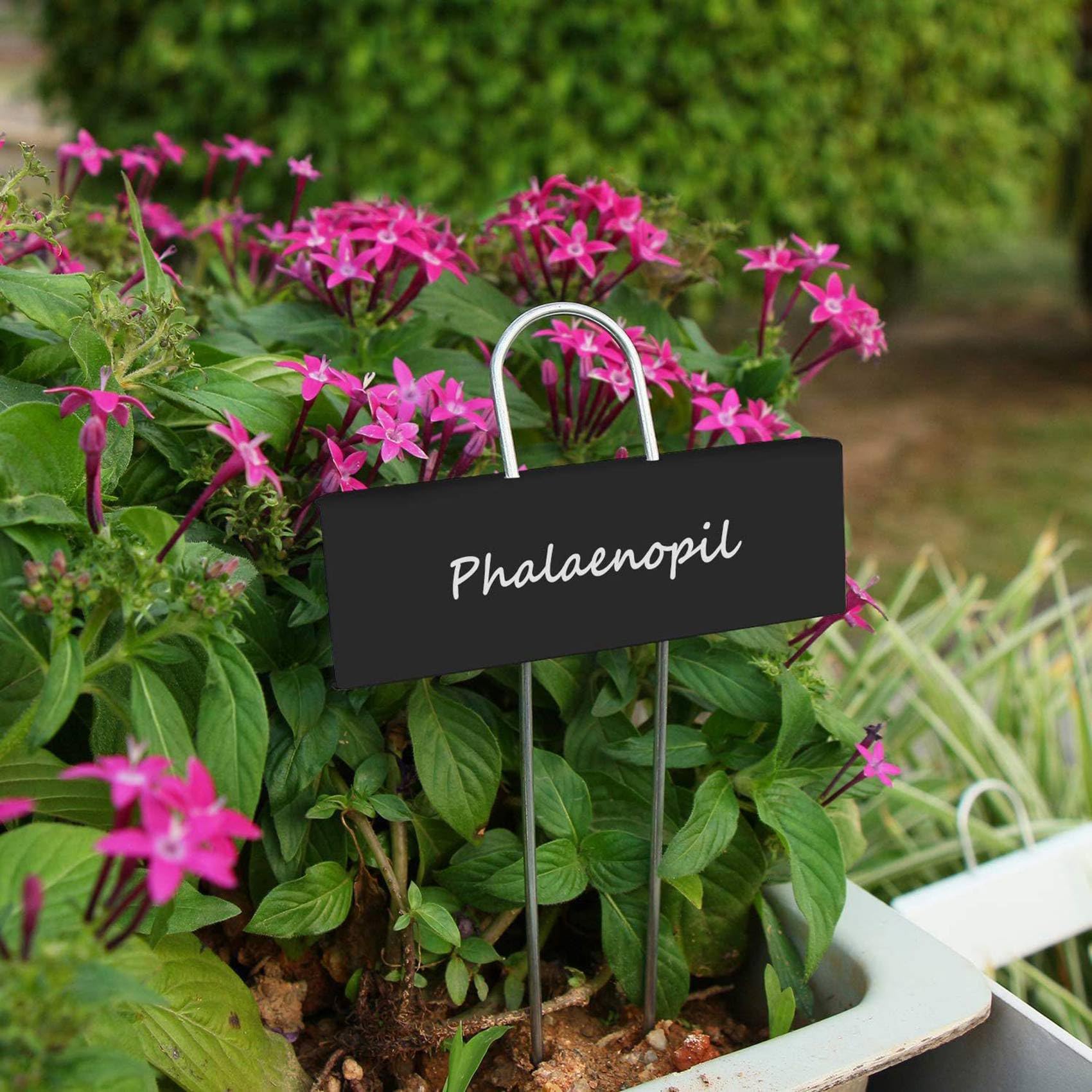 150 PièCes SéRies ÉTiquettes de Plantes en MéTal ÉTanche Jardin Marqueurs RéUtilisables PéPinièRe ÉTiquettes pour LéGumes Herbe Fleur à Effet de Serre Noir
