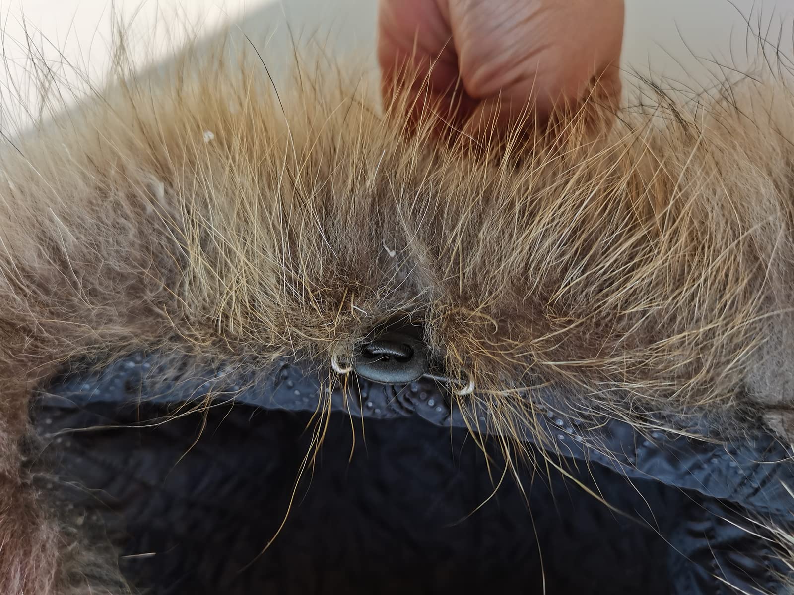 Chapeau de Trappeur pour Femme Coquille en Peau de Mouton Chaud Hiver Chapka d'aviateur Vraie Fourrure de la avec Oreille Rabat 56-60cm Taille de Tête