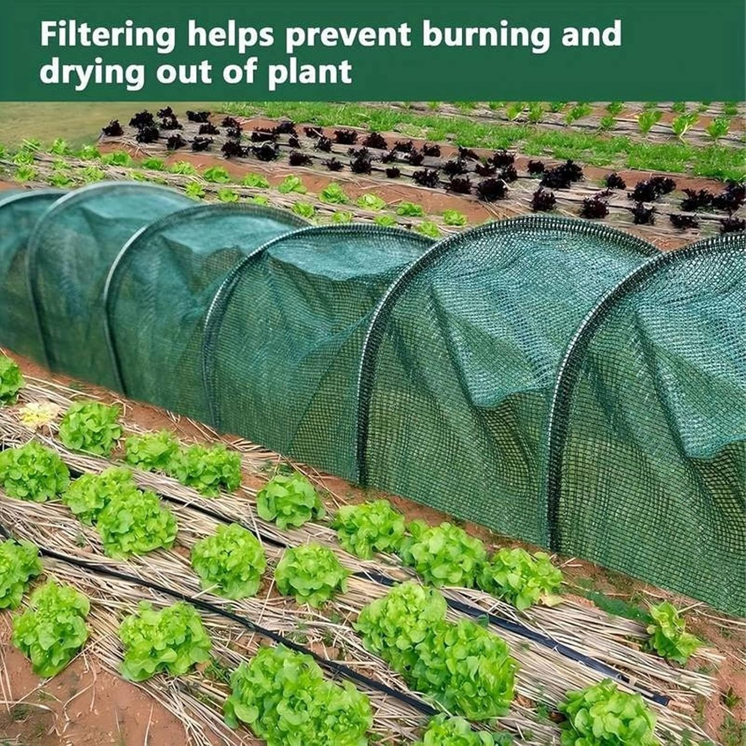 TOPINCN Garden Tunnel Shade Net Cover Portable Greenhouse Protection from Sun Heat Heavy Rains Hail for Vegetables Plants Outdoor Gardening (Blackish Green Mesh PE Steel Sunshade Style)