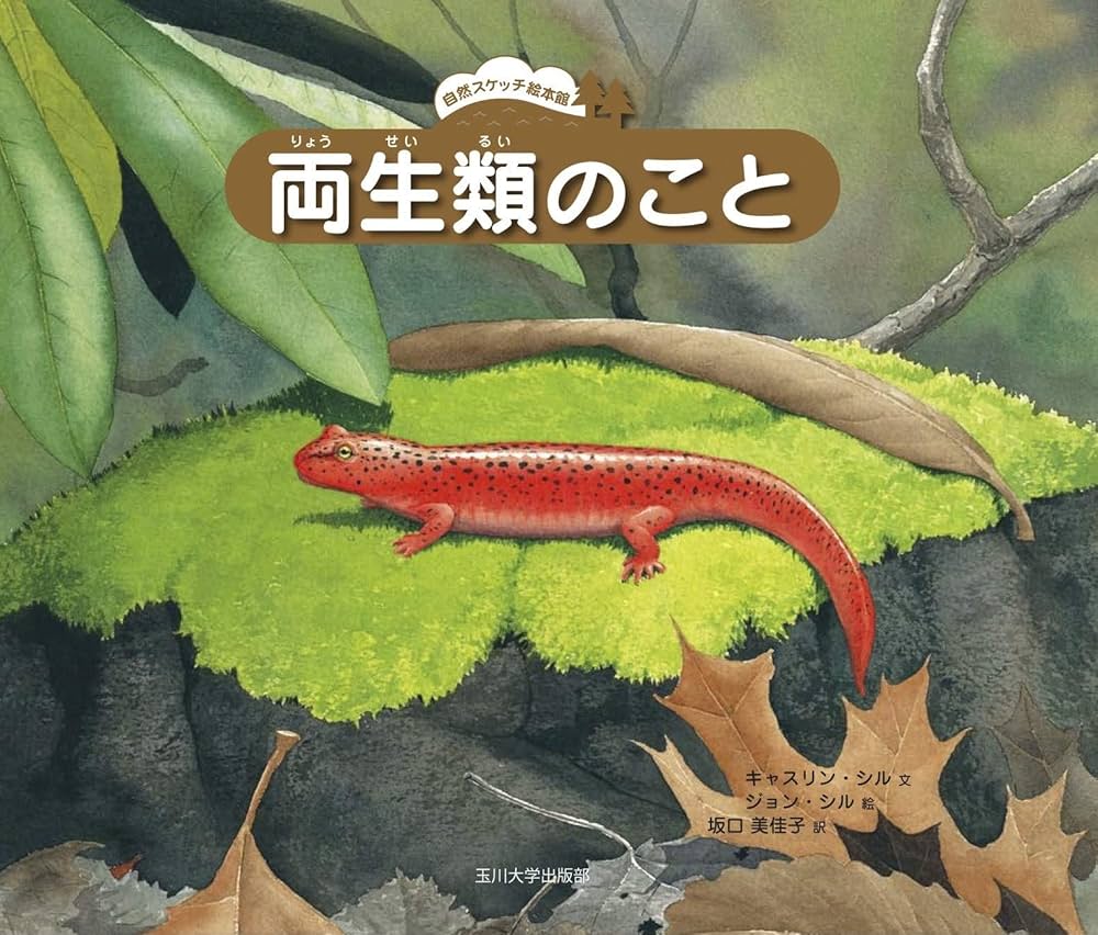 自然スケッチ絵本館