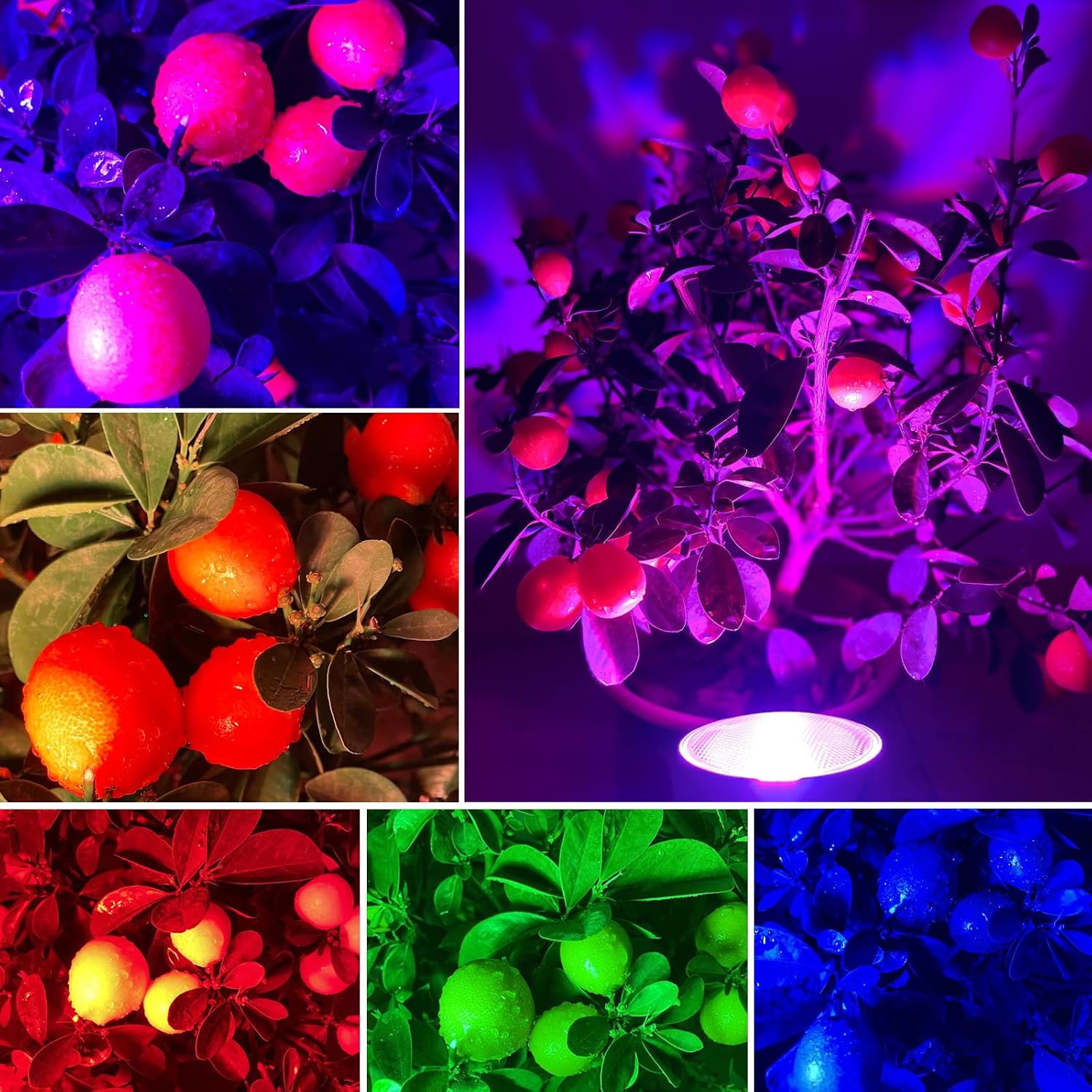 Par38 Color Changing Flood Light Bulbs, Outdoor/Indoor Dimmable E26 30W LED Remote Control Bulb for Valentine's Day Home Party Decoration(RGB+Warm White)