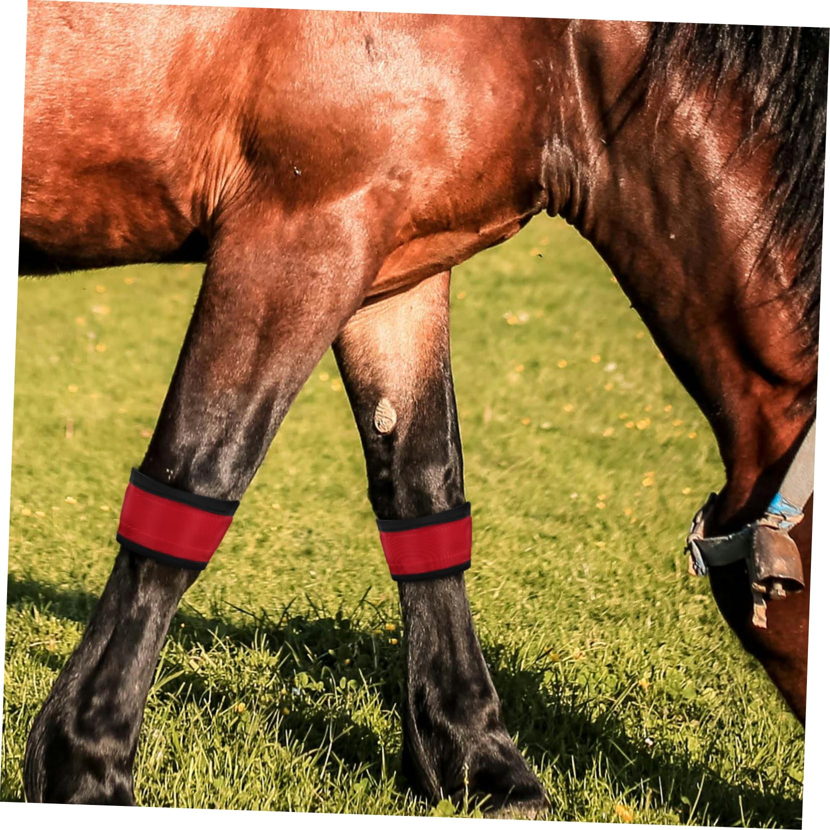 4pcs Bracelets LED Réfléchissants pour Cheval en Tissu Résistant et Portable, Accessoires Équitation pour Entraînement et Activités Extérieures Nocturnes