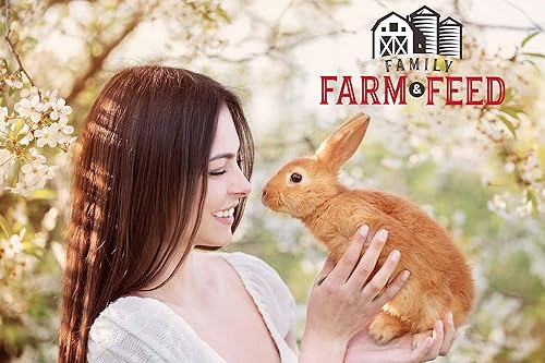 Miniatura 4 de Alimento de heno de alfalfa  Mascota pequeña  Jóvenes y adultos  Cubos  4 libras