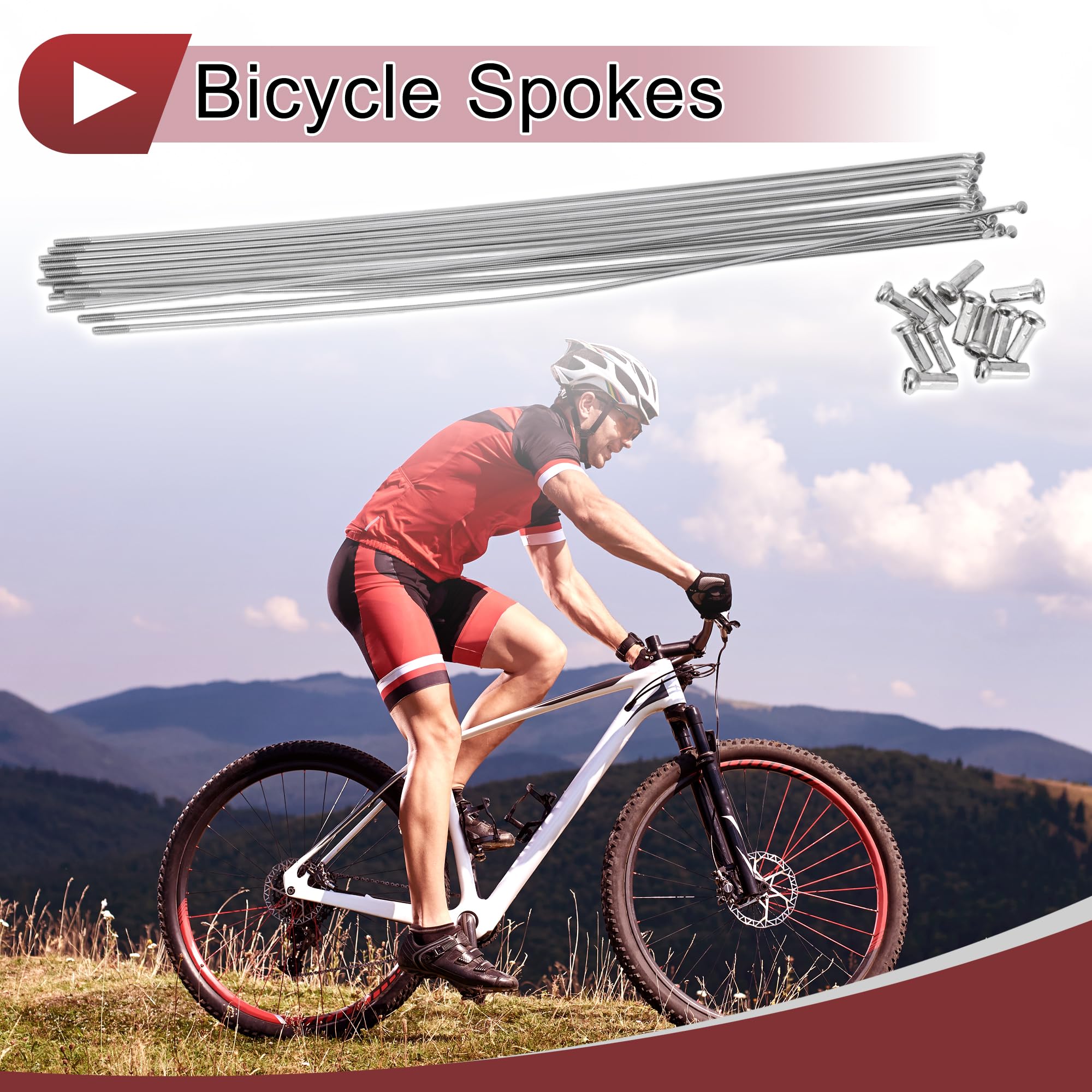 Juego de 12 Radios para Bicicleta de 14G, Acero Inoxidable 304, Tono Plateado