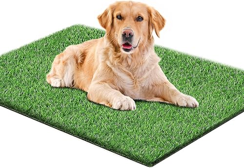 Hundeklo für Zuhause