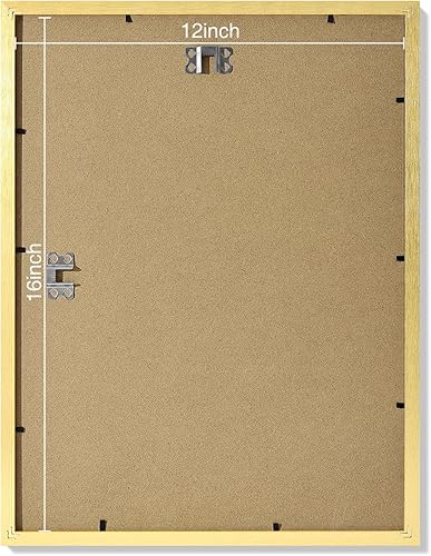 Vista 208 de Vittanly - Juego de 9 portarretratos, plexiglás resistente a rupturas, exhibe fotos de 12 x 12 pulgadas o, con paspartú, de 8 x 8 pulgadas, marcos