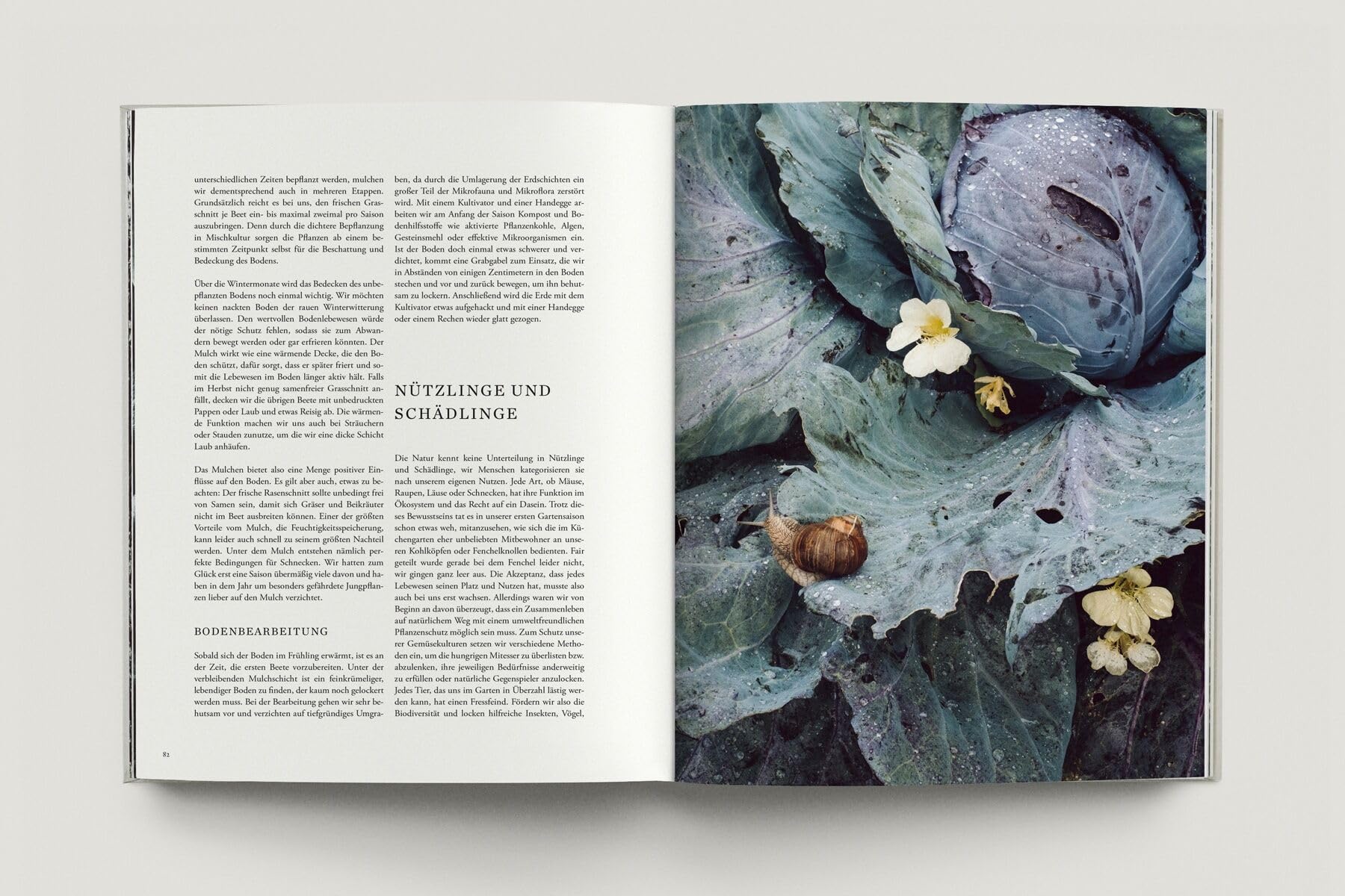 Zu den Wiesen: Vom naturnahen und artenreichen Gärtnern. Ein Gartenporträt. Das neue Buch zum Blog Krautkopf - Deutscher Gartenbuchpreis 2024