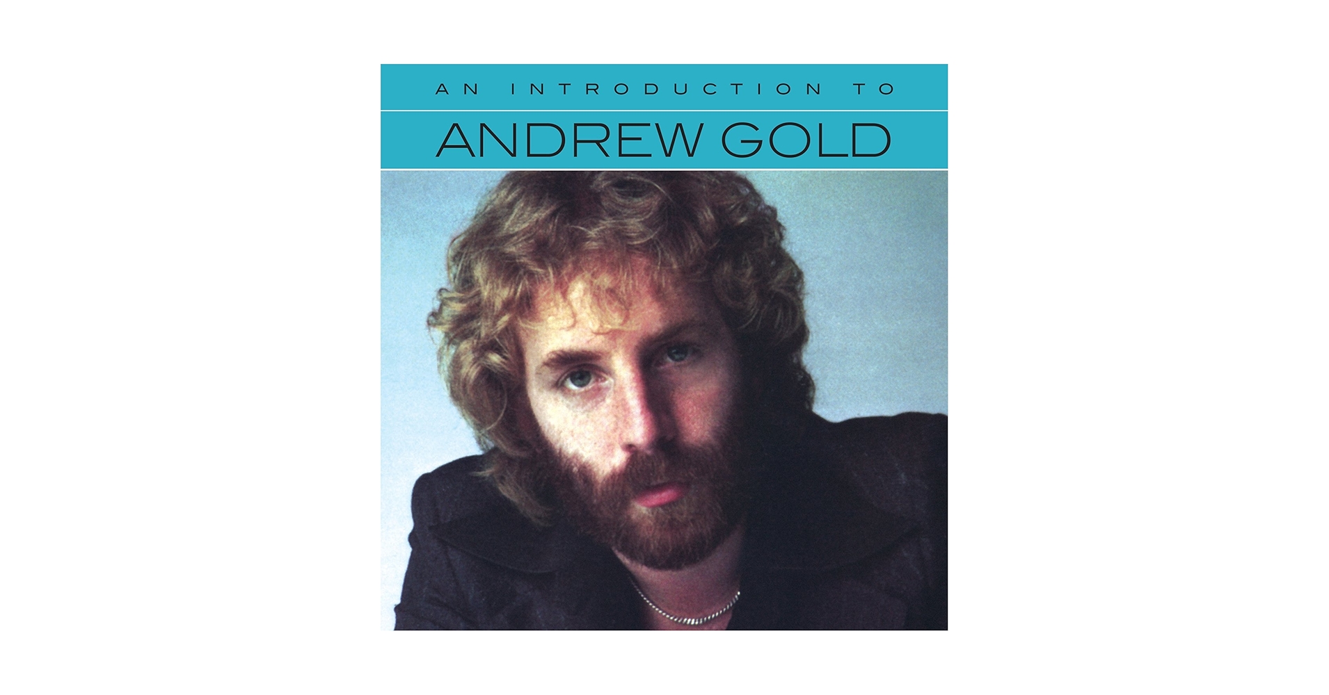 ANDREW GOLD, BOX, 6CD+DVD,新品, AOR, ANDREW GOLD, BOX, 6CD+DVD,新品, AOR, Amazon.com: Lonely Boy