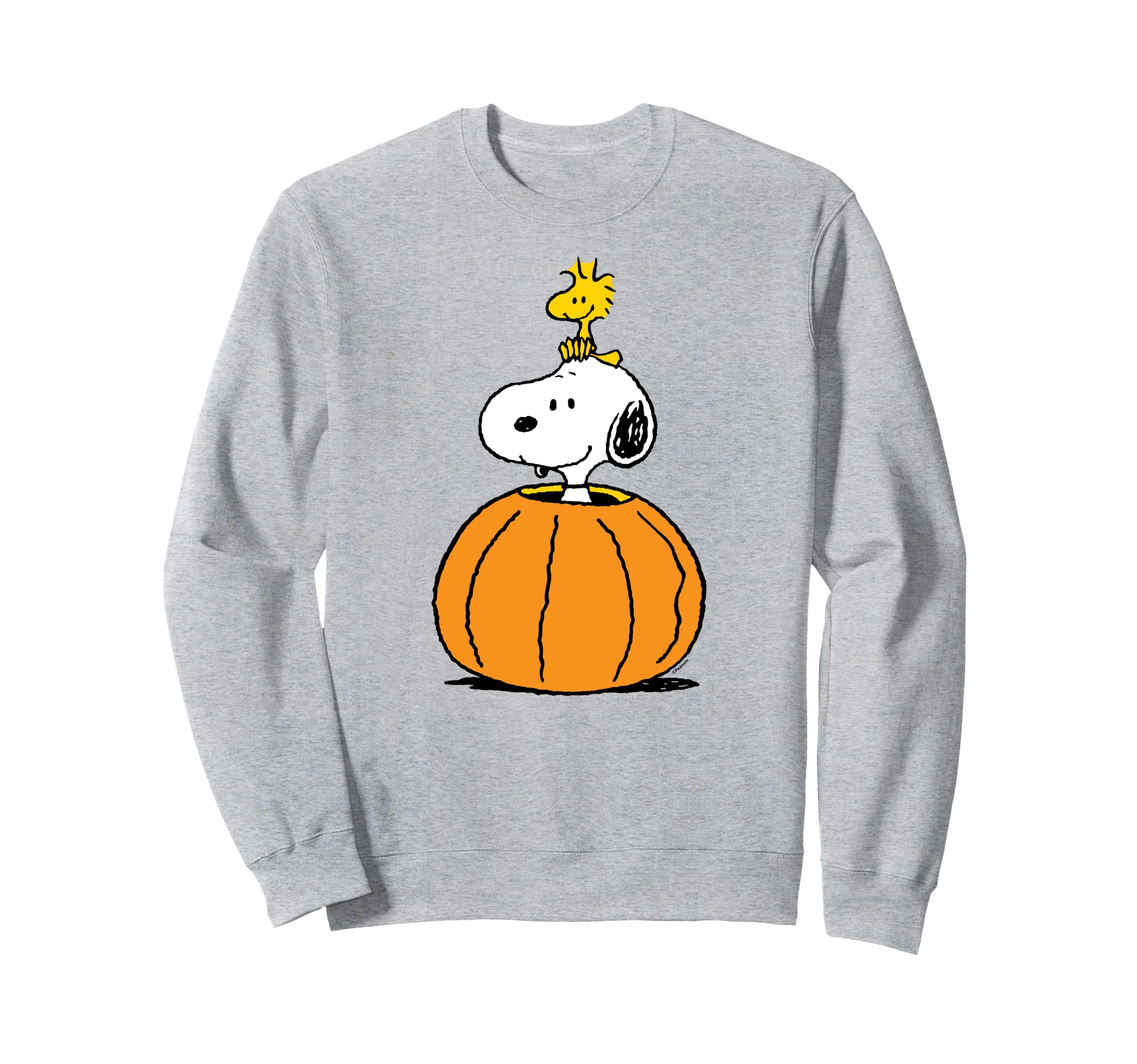 Peanuts Snoopy Woodstock Pumpkin Sweatshirt