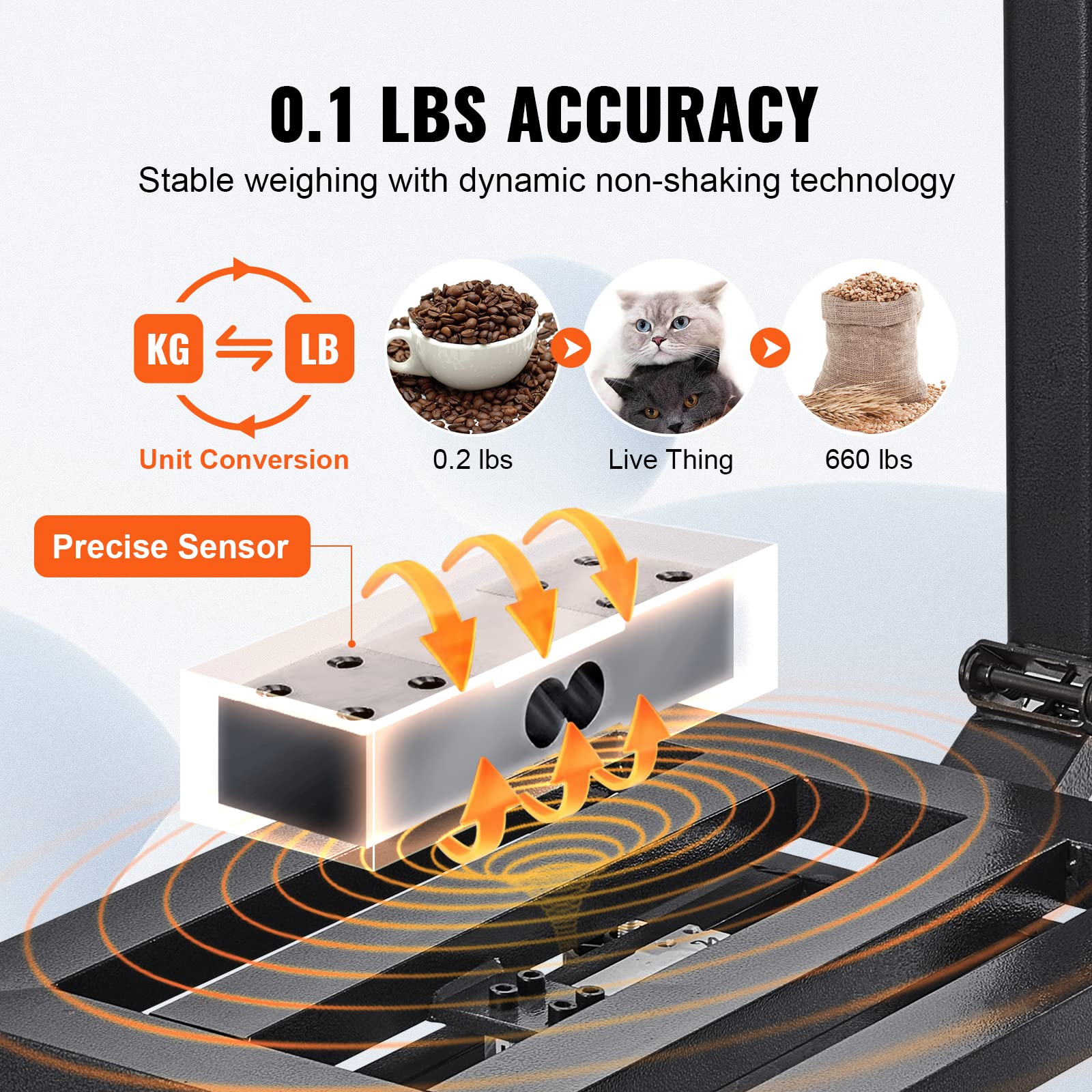 https://m.media-amazon.com/images/I/81ZFs8qJ61L.jpg