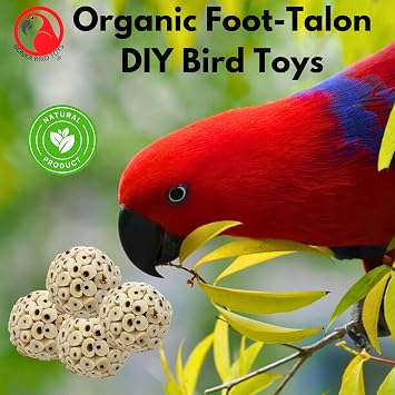 Bonka Bird Toys 2354 Pk4 Small Sola Atta Ball, 1.75-2 Diameter, Soft Natural Sola Plant Material, Ideal Chew and Foot Toy for Conures, Ringnecks, Parakeets and Similar Breed Sizes