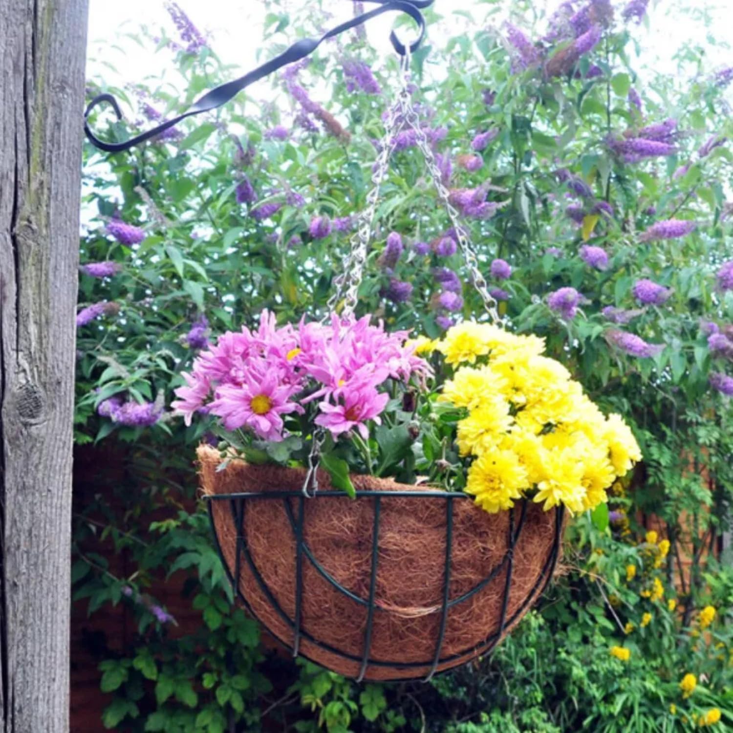Garden Mile 14" Green Wire Hanging Basket Greenhouse Accessories Heavy Duty Hang Up Planters Outdoor Indoor Garden Decor Durable Metal Plant Hanger Liner Not Included — image 1