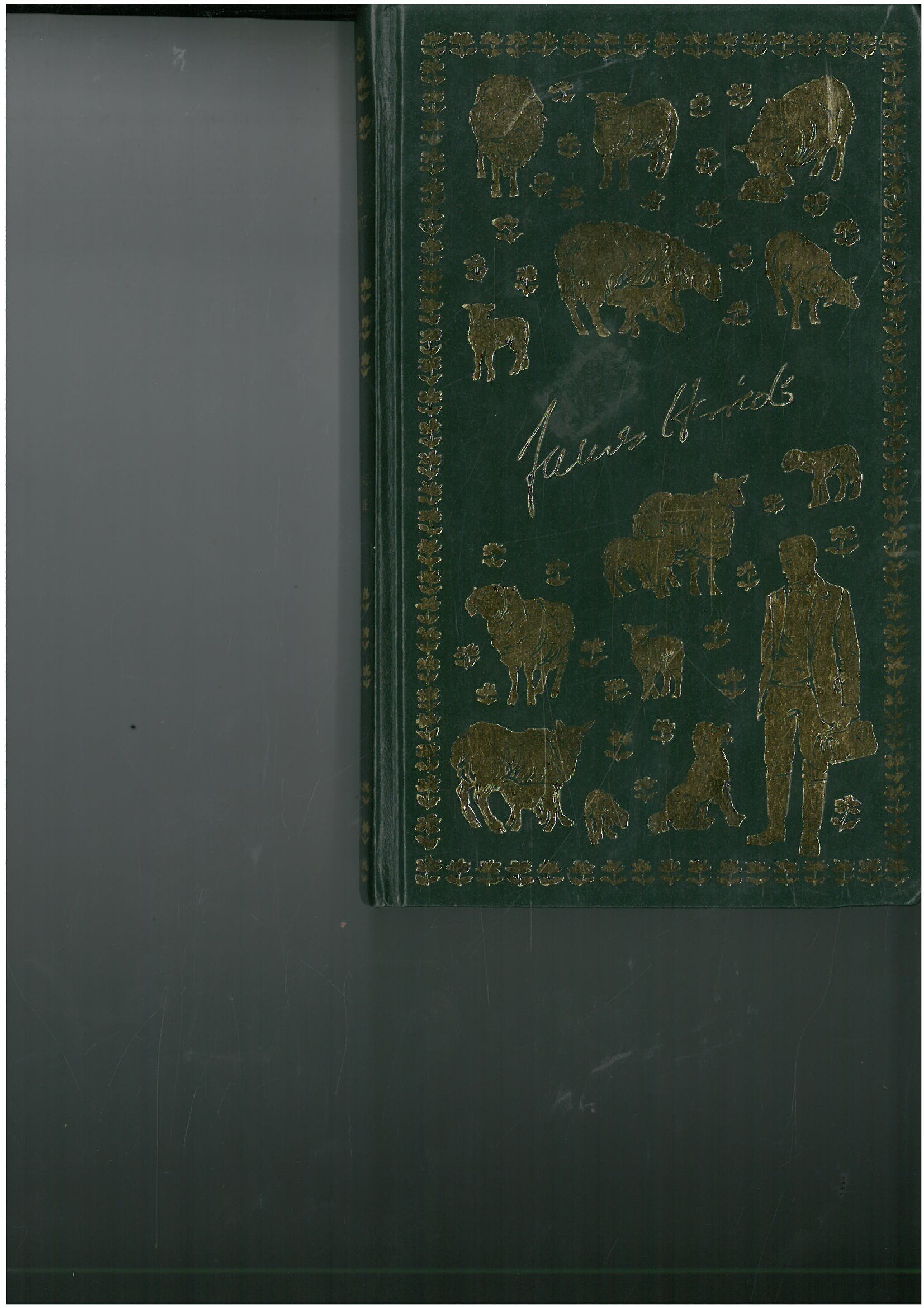 Buy Let Sleeping Vets Lie — BookShops.in