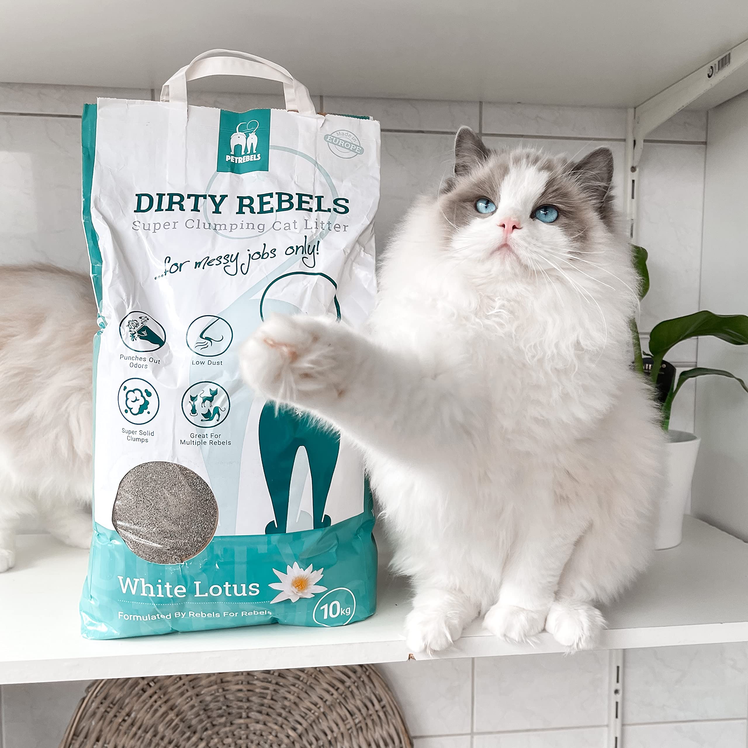 Dirty Rebels 6-pak żwirku dla kotów – 6 x 10 litrów – biały zapach lotosu – bezpyłowy – bardzo mocne grudki – magnez bentonit – jakość premium by Petrebels