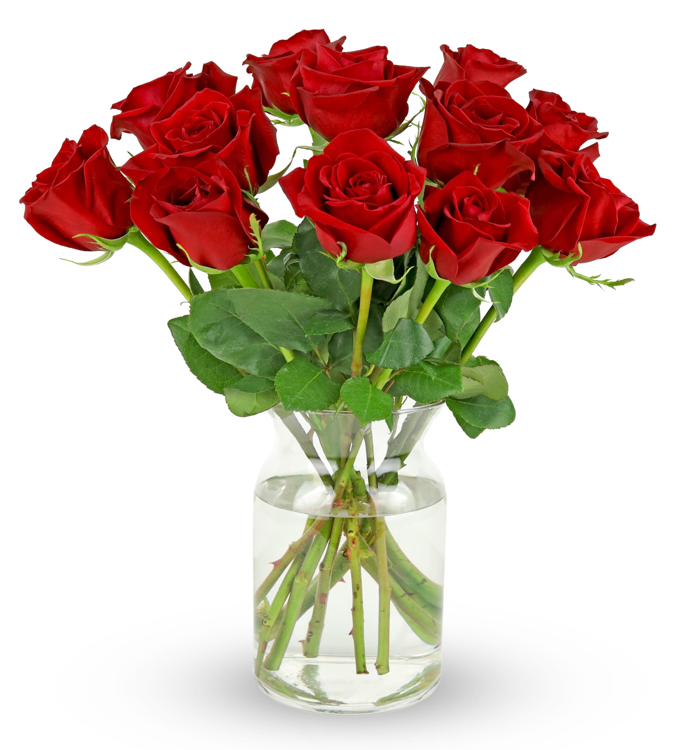 Benchmark Bouquets - 12 Stem Premium Red Roses (Glass Vase Included) - Fresh Flowers for Next Day Delivery - Gift for Birthday, Anniversary, Get Well, Sympathy, Congratulations