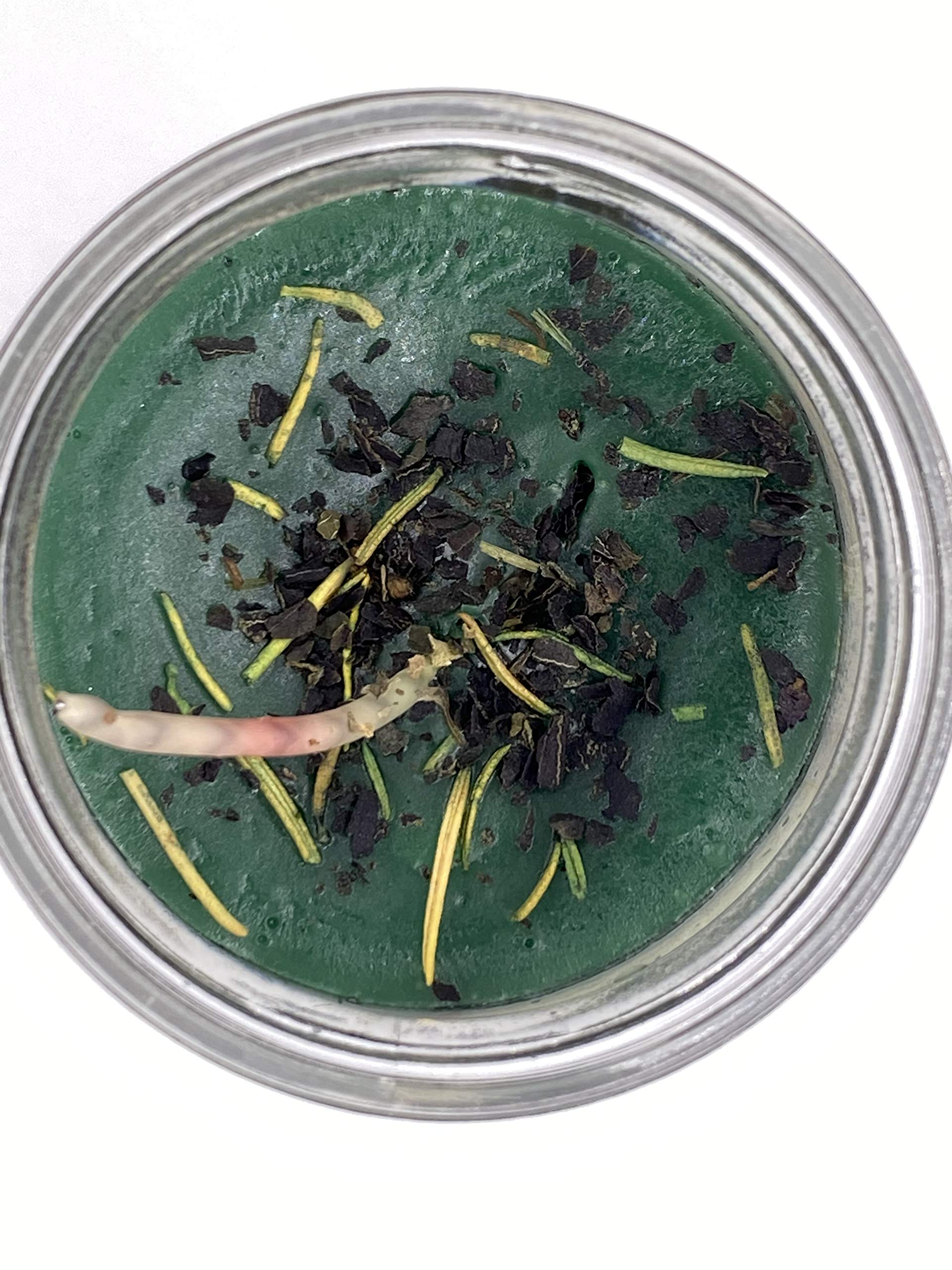 Santa Muerte Destrancadera Fixed Candle 7 Day Green Glass Candle