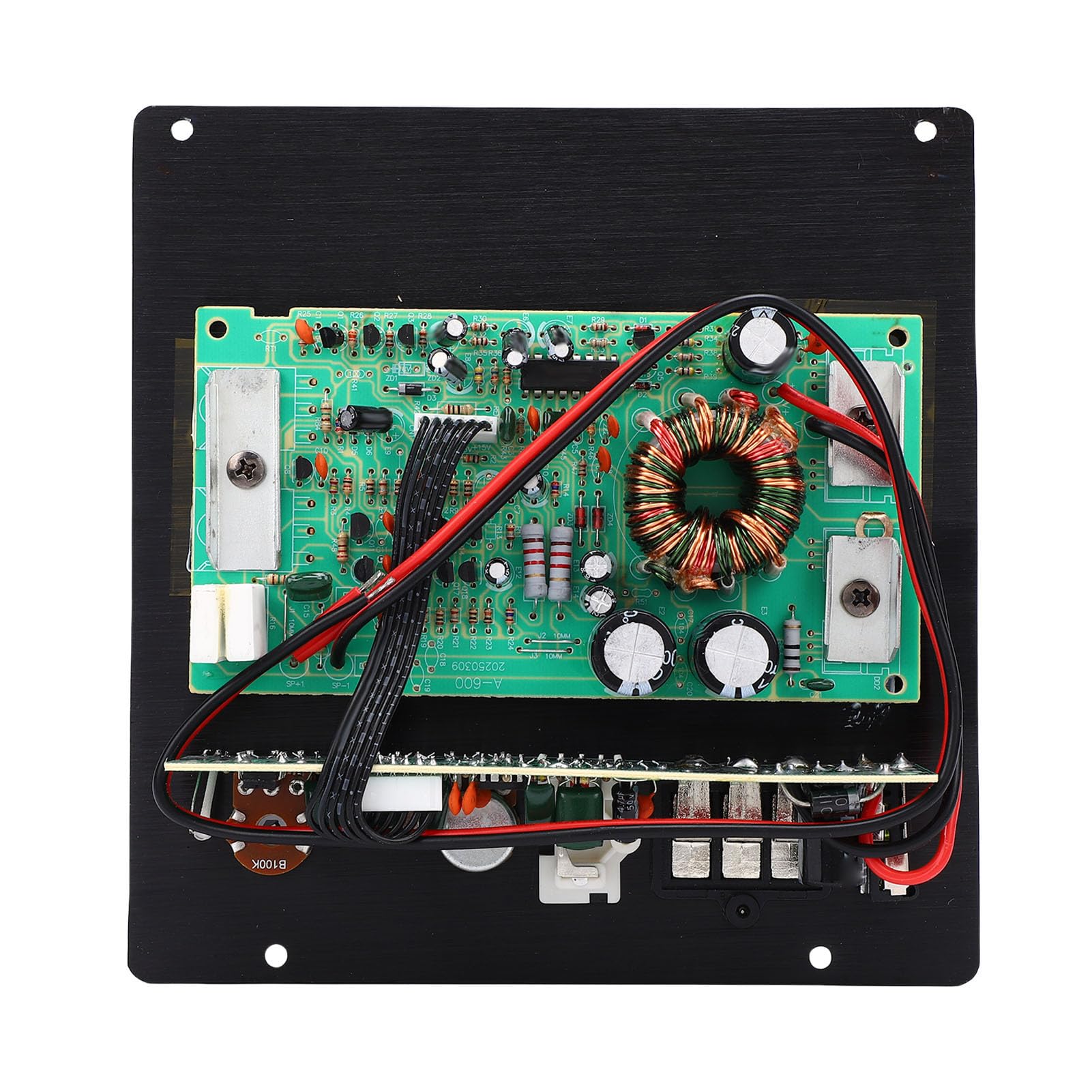 Cryfokt Car Sound Amplifier Board, High Power 600W Amp