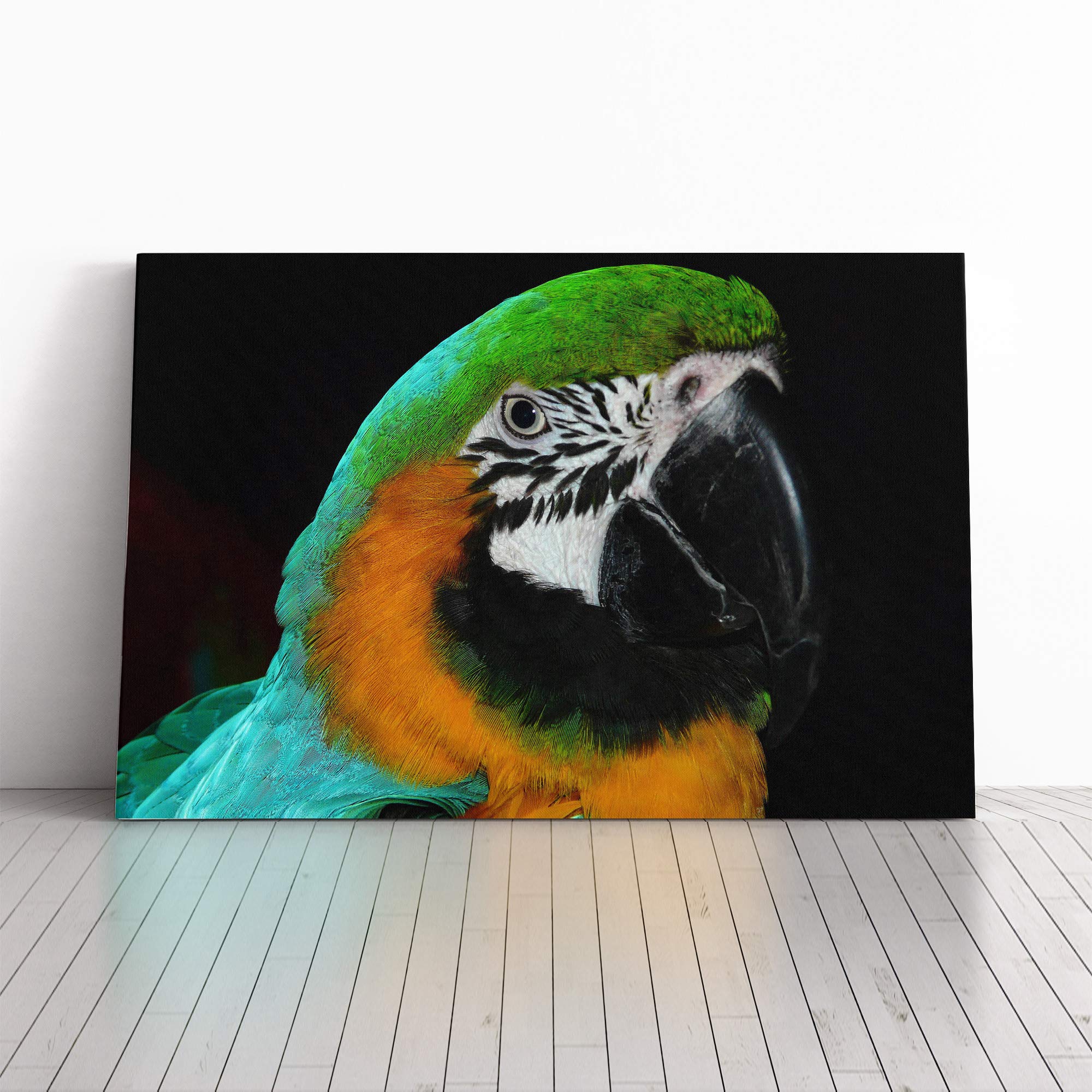 Parrot Bird (1) Canvas Print | Gallery Wrapped 30mm Frame Wall Art | 30x20 inches | Ready to Hang | Modern Animals Picture | Living Room Bedroom Lounge Office