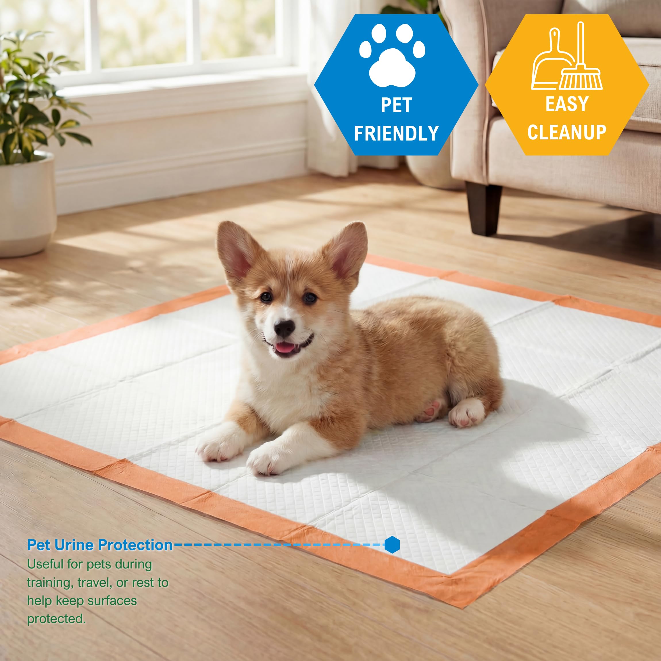 MED PRIDE Lot de 30 tapis de dressage pour chien avec appât jetables, ultra absorbants avec technologie à 6 couches - Anti-fuites et imperméables pour chiens, chats, lapins [76,2 x 76,2 cm]