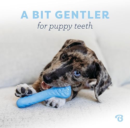Vista 33 de Benebone Puppy Wishbone - Juguetes masticables para perros, más suaves para masticadores modestos, fabricados en Estados Unidos, mediano