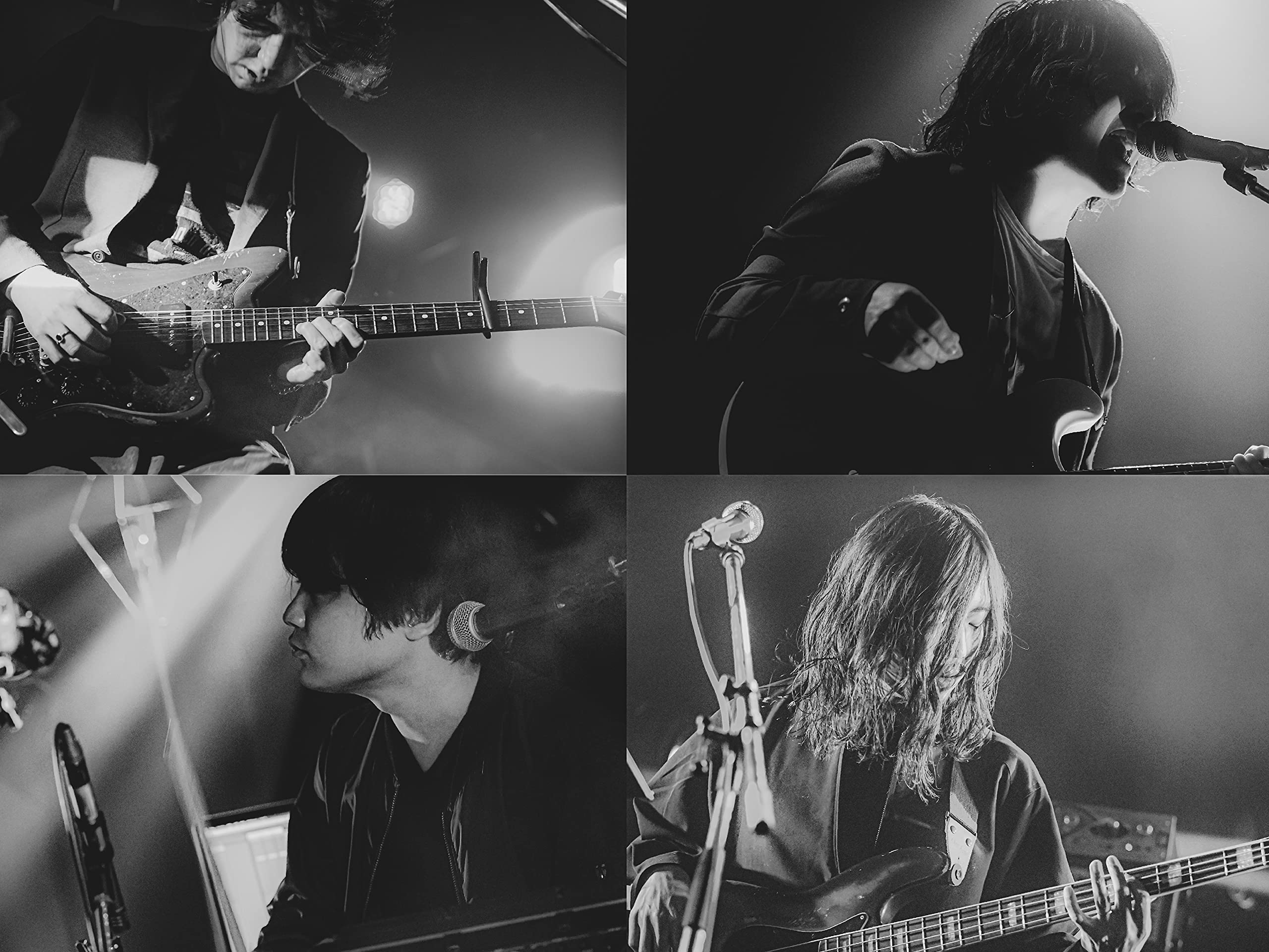 Bird Bear Hare and Fish