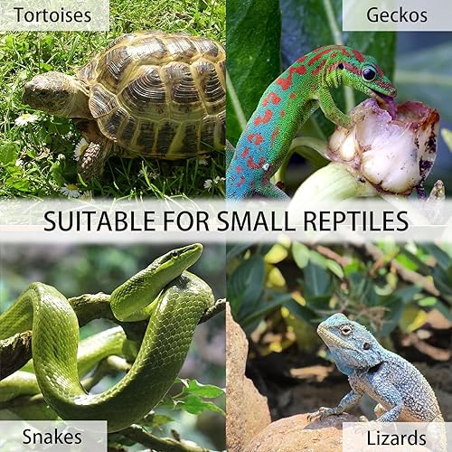 Miniatura 5 de Hábitat de tortuga, gran casa de tortuga de madera sobre ruedas, recinto para tortuga jaula de reptiles para animales pequeños para interiores y