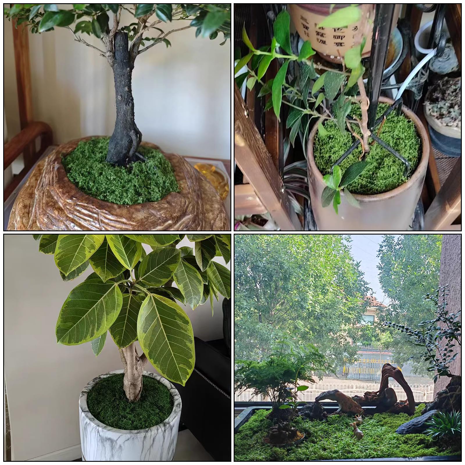 200g Muschio Artificiale,Muschio Riutilizzabili Verde Scuro,Nylon Muschios Vegetale Finto per Decorazioni Parete Casa Fai da Te Modellismo Artigianato