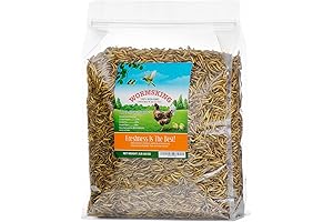 2LB Dried Mealworms for Hungry Chickens | Wild Birds | Nutritious Bird Food