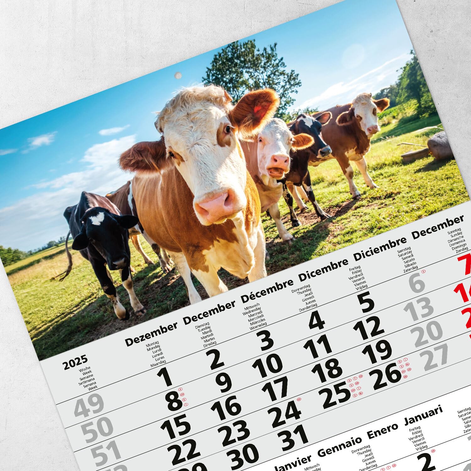 70cm Three-Month Calendar Multilingual D/GB/F/ES I Motif Japan - View #4