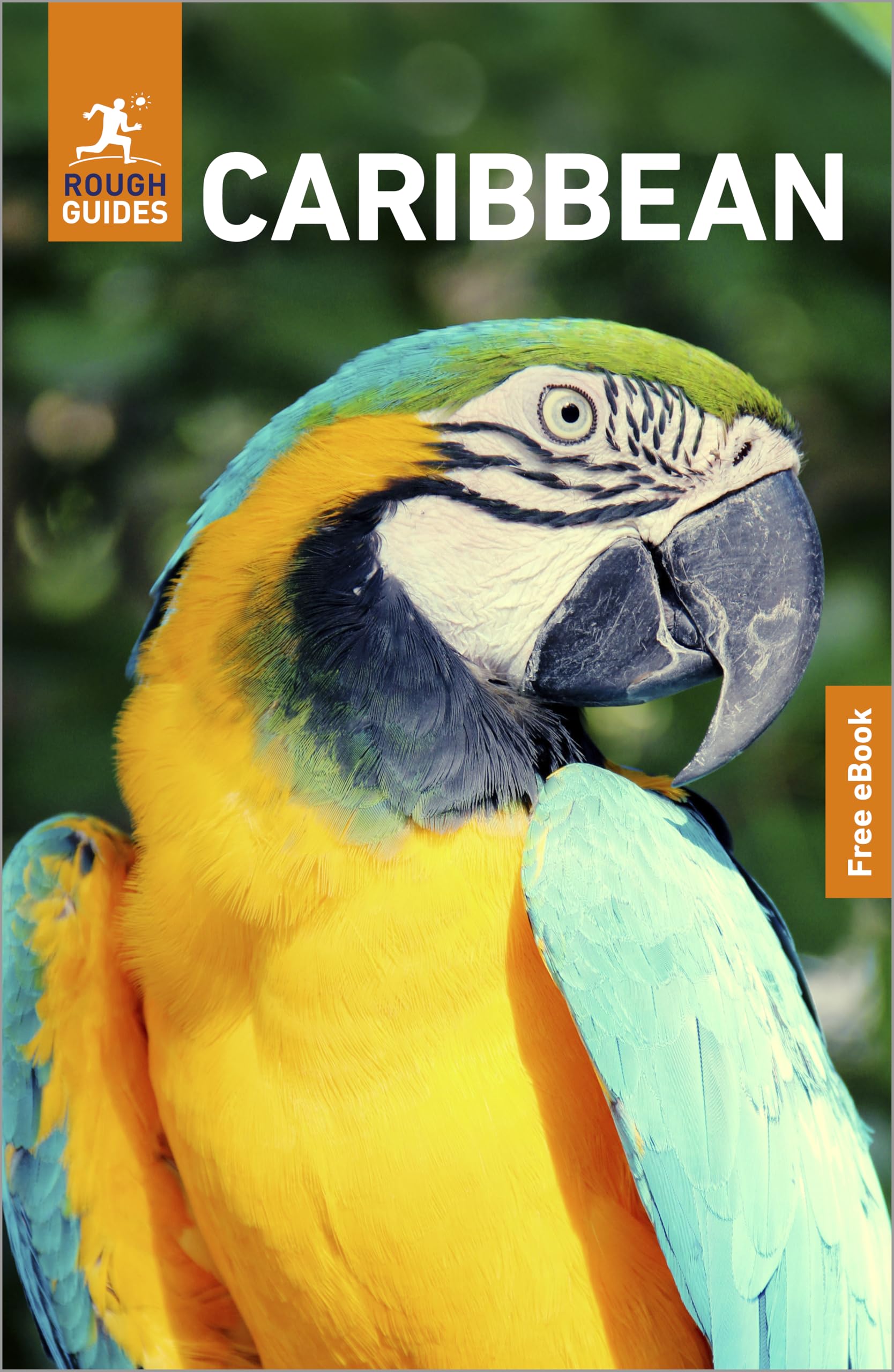 Rough Guides Caribbean: Travel Guide with eBook