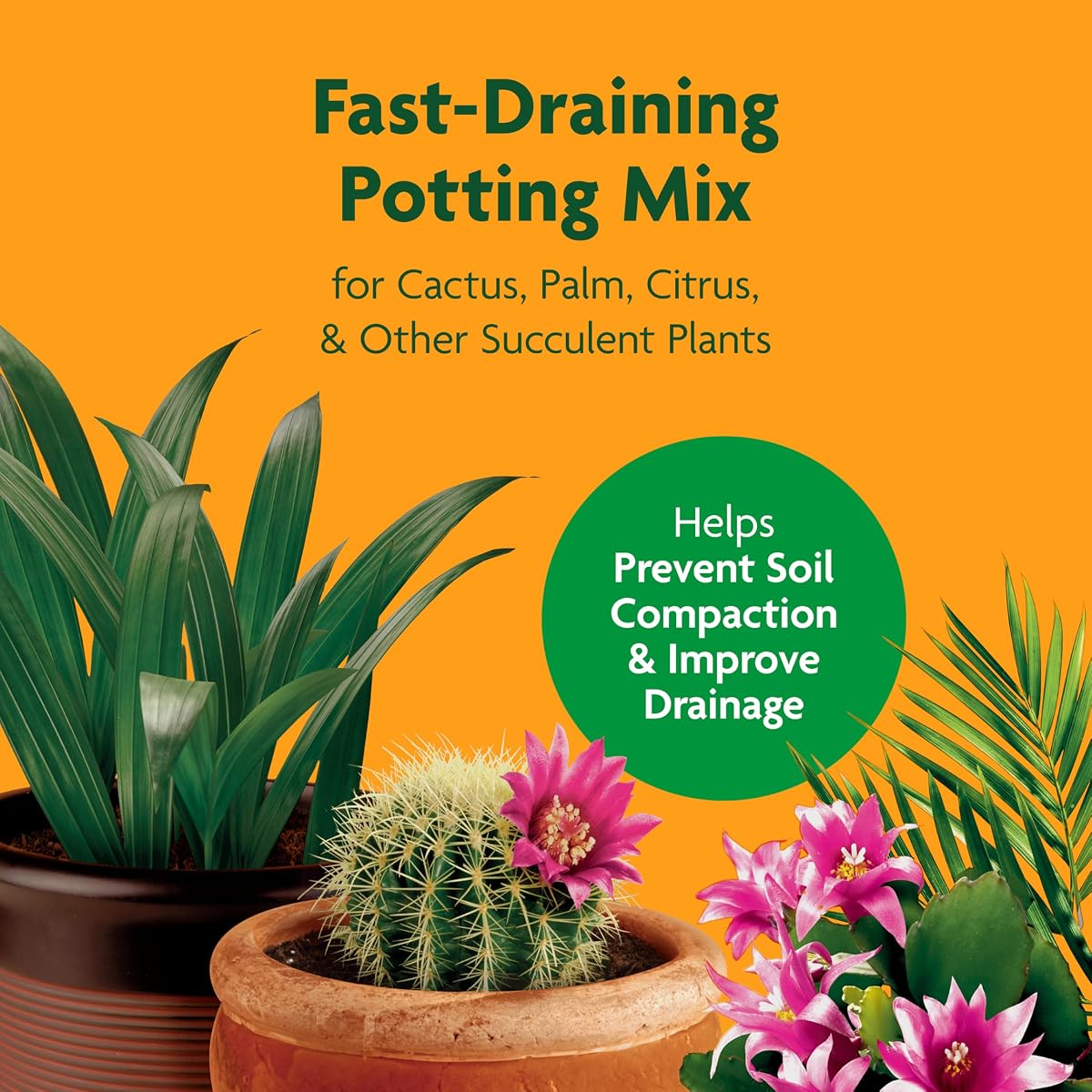 Mezcla para macetas de cactus, palmeras y cítricos Miracle-Gro, 8 qt., paquete de 3 | Mezcla para macetas de palma y cítricos, para plantas de interior o exterior, ideal para suculentas