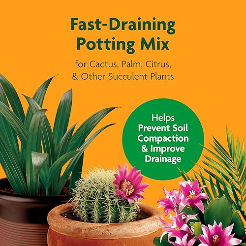 Miracle-Gro Cactus, Palm and Citrus Potting Mix, for Indoor or Outdoor Potted Plants, Great for Succulents, 8 qt., 2-Pack 3
