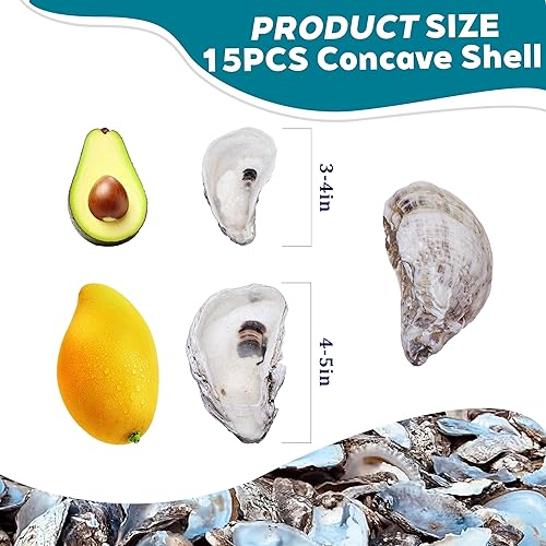 Miniatura 2 de 16 conchas de ostras grandes de 4 a 5 pulgadas para manualidades, conchas marinas cóncavas naturales a graneldecoración del hogar, relleno de