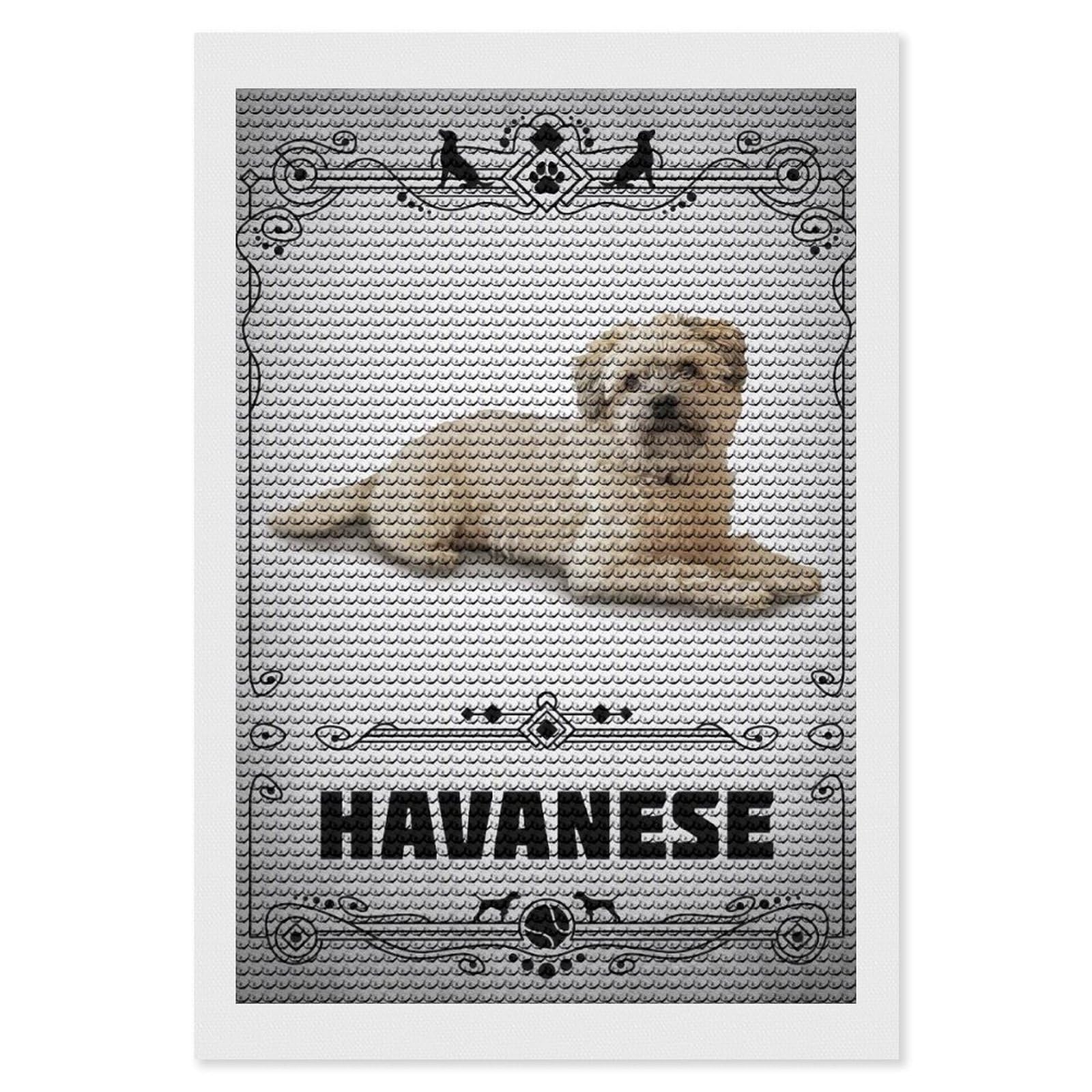 Junmoney Havanese Diamond Painting Canvas Set 8"x12", Boho Decor, for Craft Lovers, Easy Handmade Project, Holiday Gift Idea