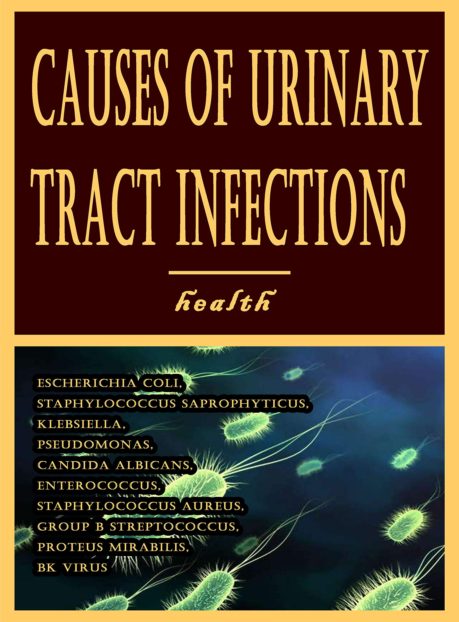 Causes of Urinary Tract Infections: Escherichia Coli, Staphylococcus Saprophyticus, Klebsiella, Pseudomonas, Candida Albicans, Enterococcus, Staphylococcus Aureus, Group B Streptococcus, Proteus