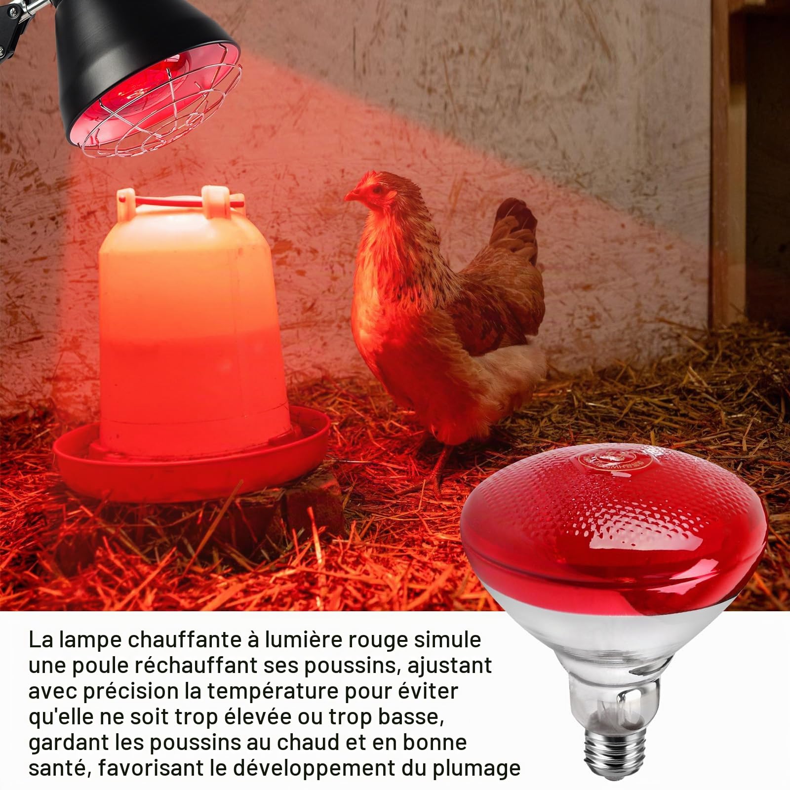 Lampe chauffante à lumière rouge, 150 W Chauffant Poussin pour poulaillers, lampe chauffante pour poulailler, lampe chauffante pour animaux, lampe infrarouge thermostatique automatique, pour poussins